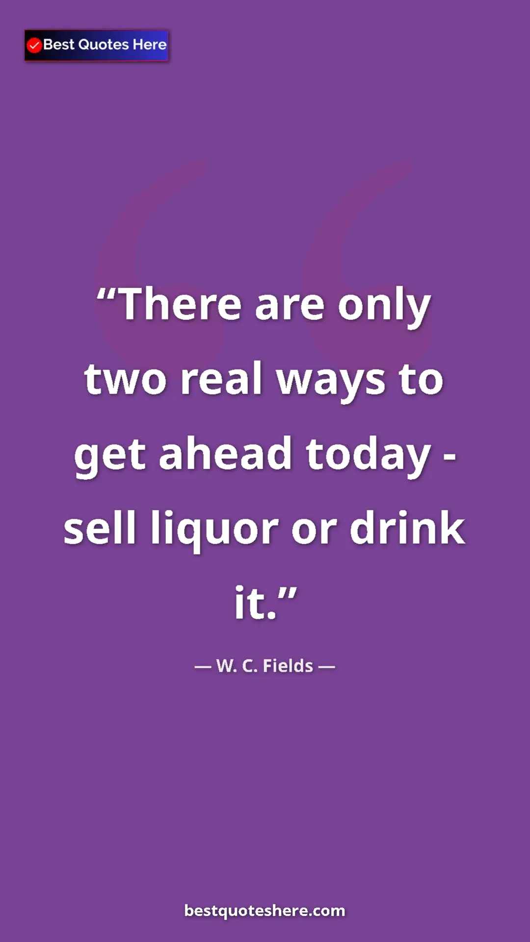 Pinterest quote poster by W. C. Fields: "There are only two real ways to get ahead today - sell..."