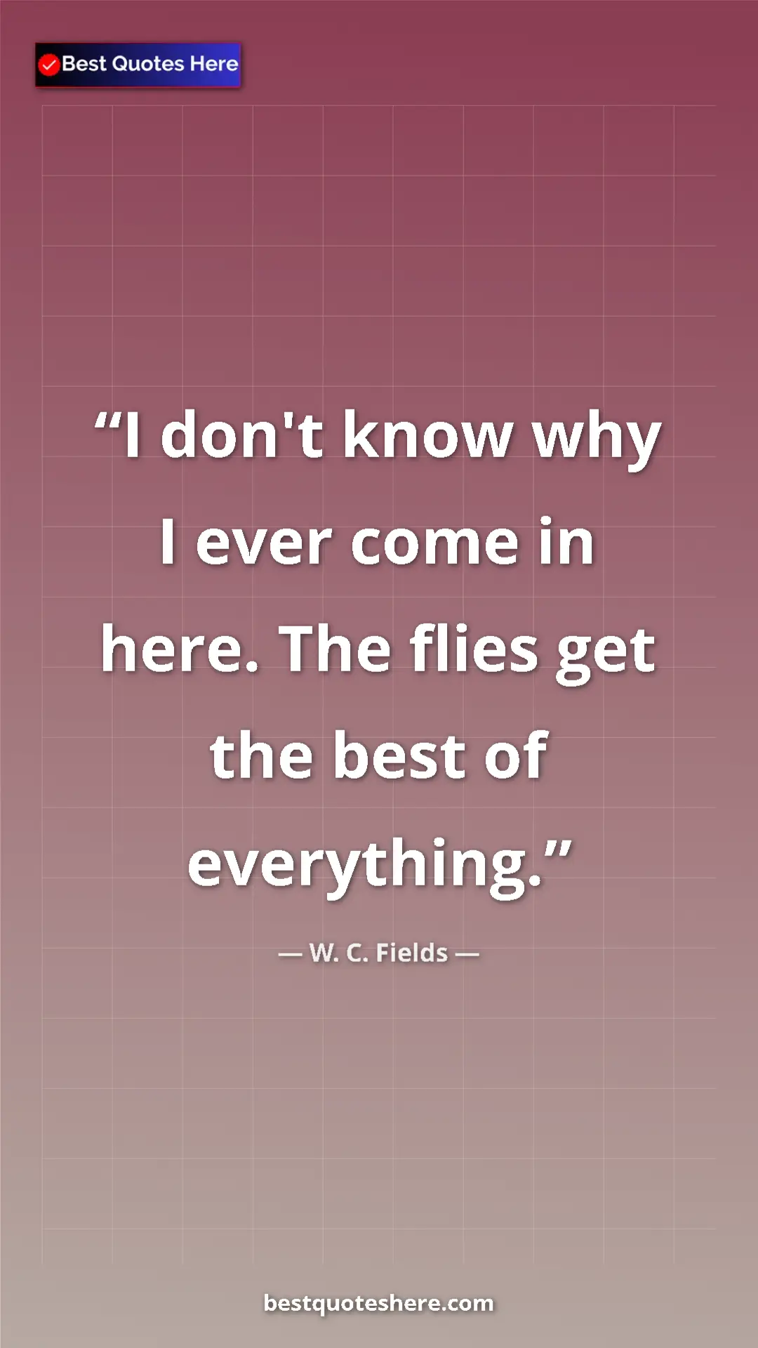 Pinterest quote poster by W. C. Fields: "I don't know why I ever come in here. The flies get the..."