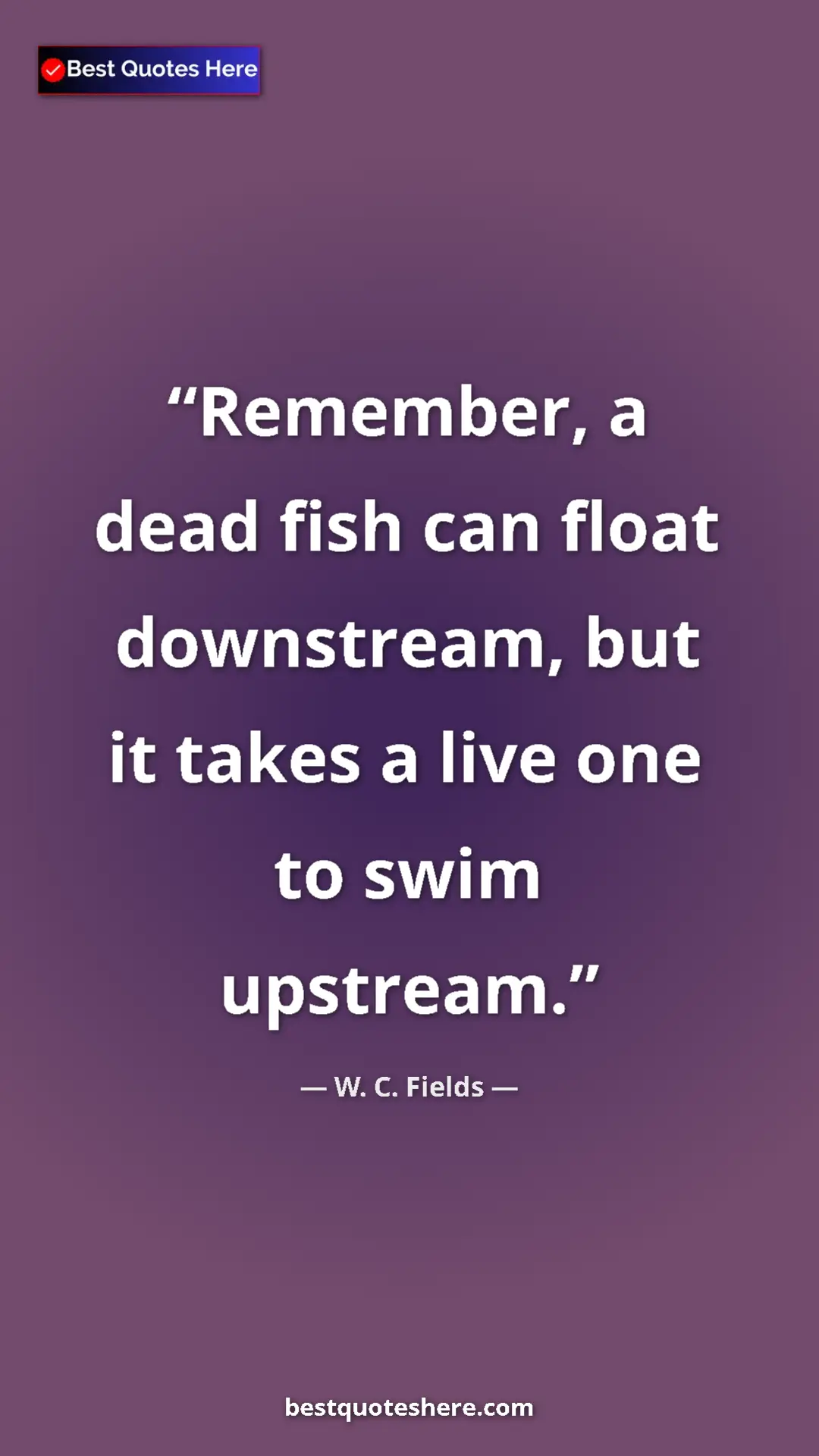 Pinterest quote poster by W. C. Fields: "Remember, a dead fish can float downstream, but it takes a..."