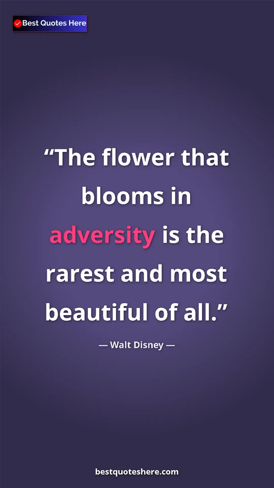 Pinterest quote poster by Walt Disney: "The flower that blooms in adversity is the rarest and most..."