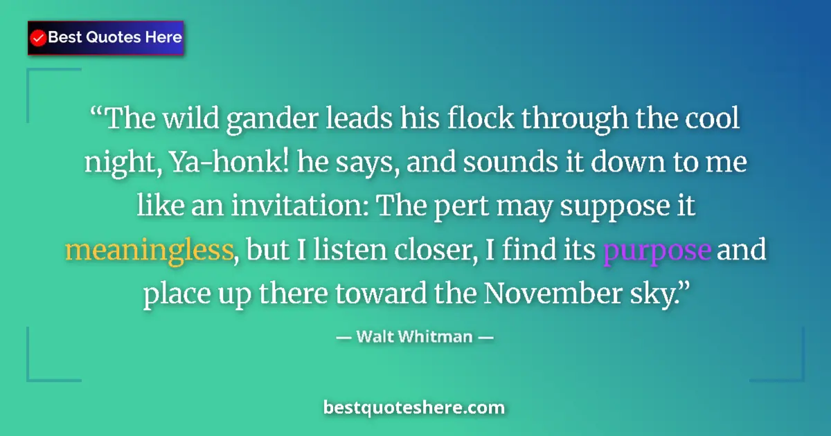 Quote by Walt Whitman: The wild gander leads his flock through the cool night, Ya-honk! he says, and sounds it down to me l...