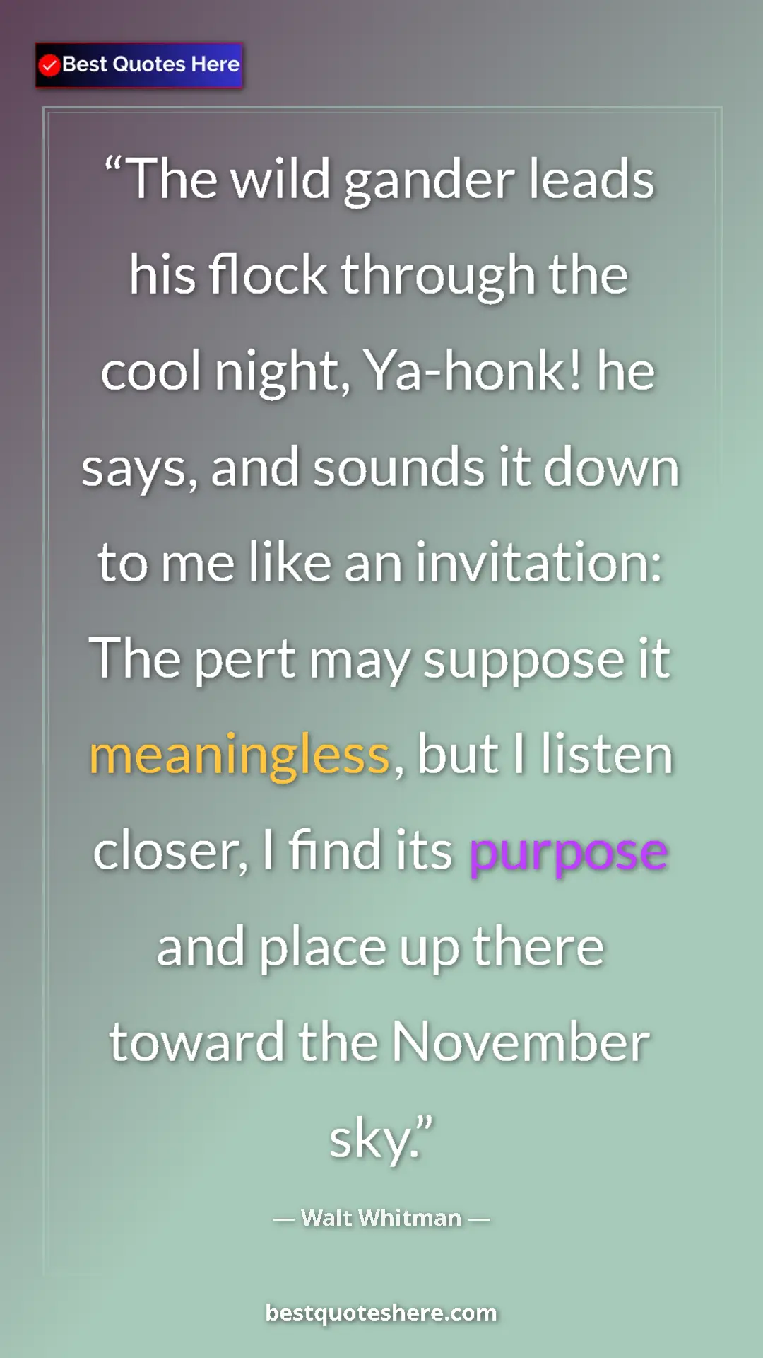 Walt Whitman Quote Card: "The wild gander leads his flock through the cool night,..." Pinterest quote poster by Walt Whitman: "The wild gander leads his flock through the cool night,..."