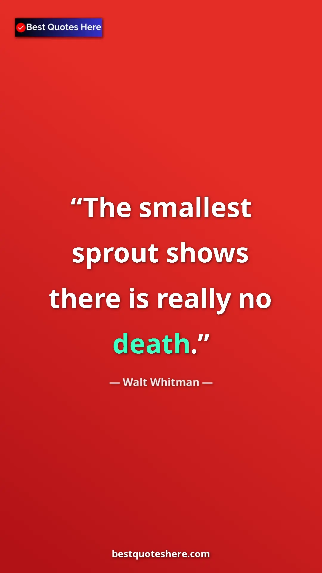 Walt Whitman Quote Card: "The smallest sprout shows there is really no death." Pinterest quote poster by Walt Whitman: "The smallest sprout shows there is really no death."