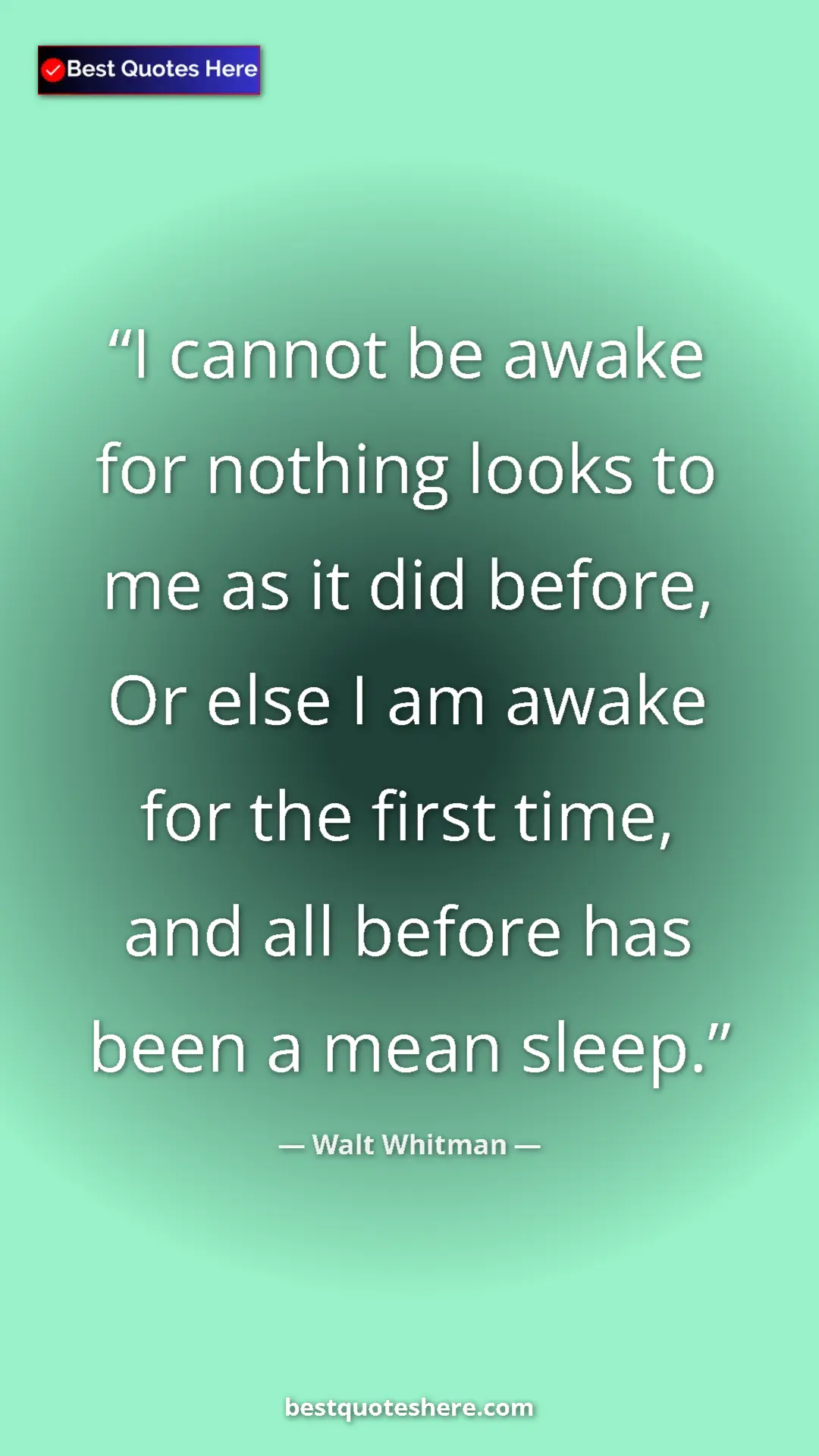 Pinterest quote poster by Walt Whitman: "I cannot be awake for nothing looks to me as it did before,..."