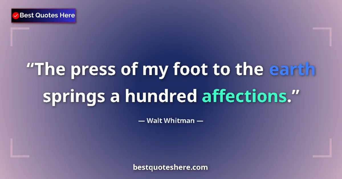 Quote by Walt Whitman: The press of my foot to the earth springs a hundred affections....