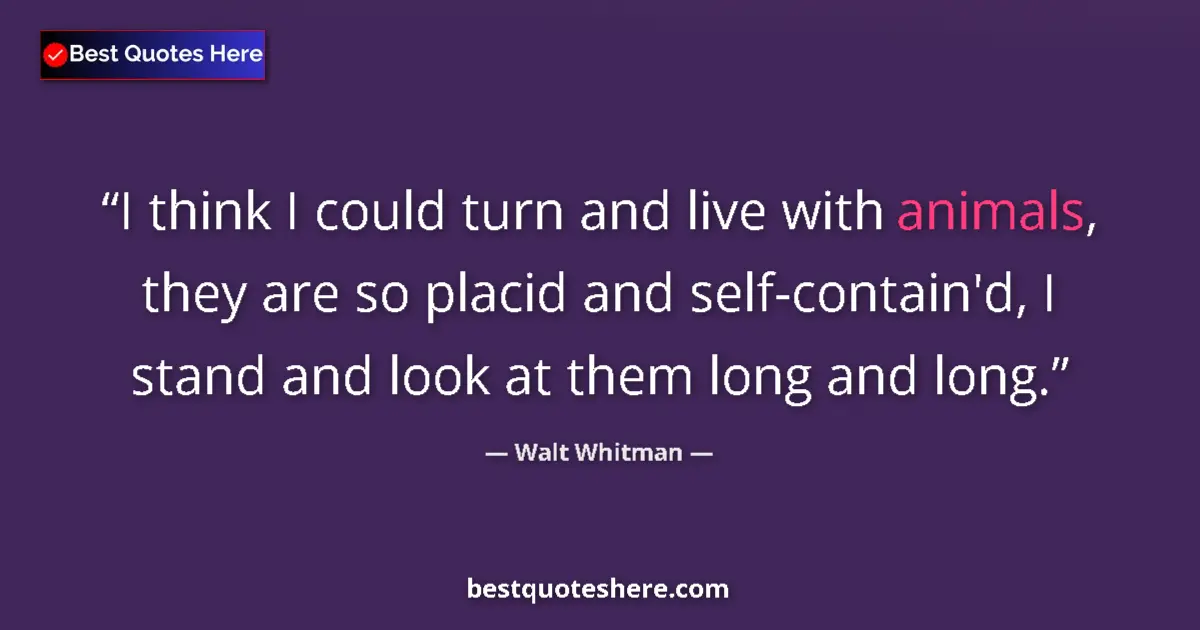 Quote by Walt Whitman: I think I could turn and live with animals, they are so placid and self-contain'd, I stand and look ...