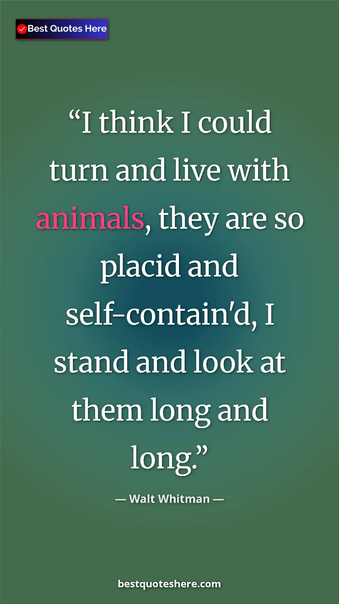 Pinterest quote poster by Walt Whitman: "I think I could turn and live with animals, they are so..."