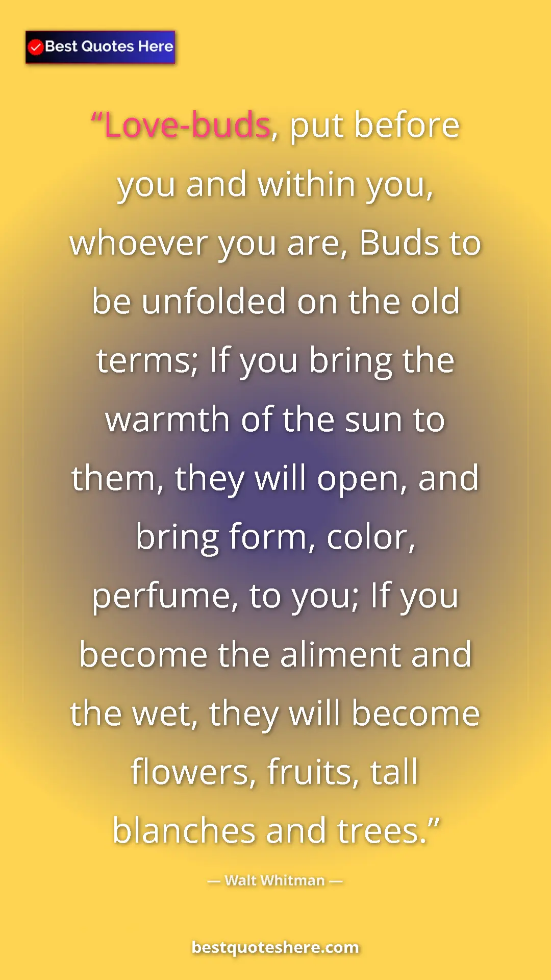 Pinterest quote poster by Walt Whitman: "Love-buds, put before you and within you, whoever you are,..."