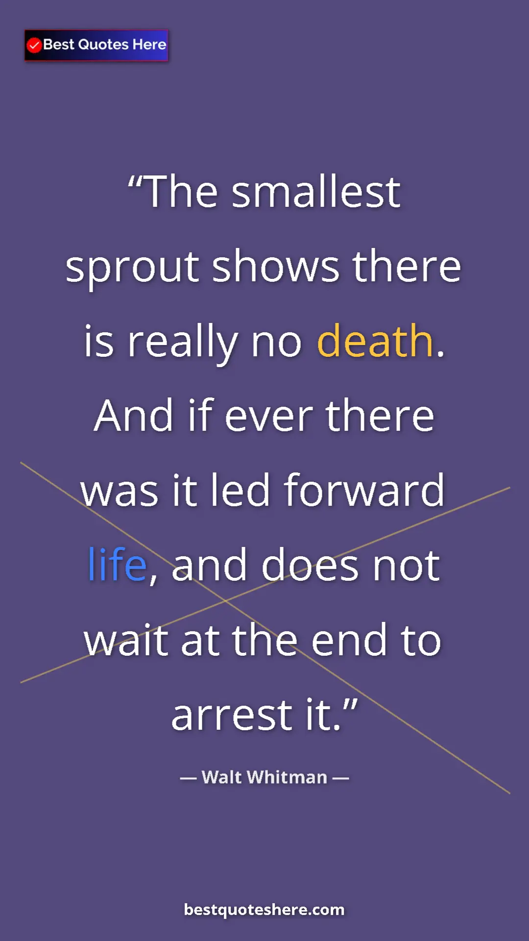 Walt Whitman Quote Card: "The smallest sprout shows there is really no death. And if..." Pinterest quote poster by Walt Whitman: "The smallest sprout shows there is really no death. And if..."