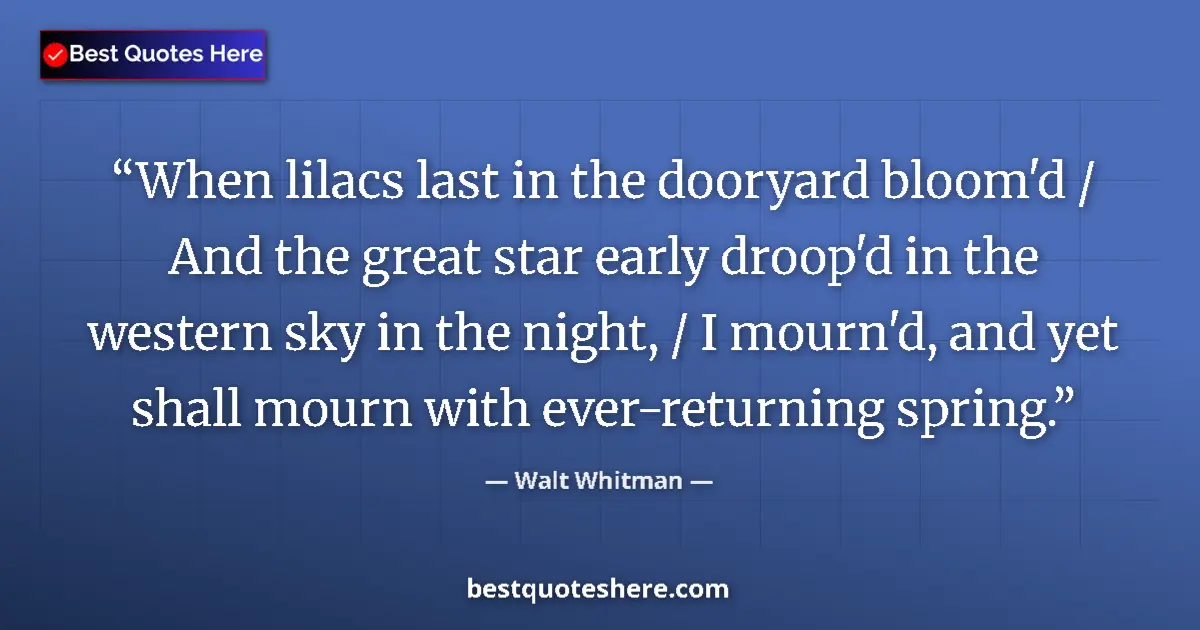 Quote by Walt Whitman: When lilacs last in the dooryard bloom'd / And the great star early droop'd in the western sky in th...