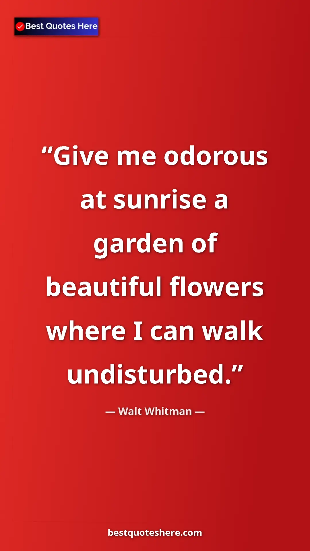 Walt Whitman Quote Card: "Give me odorous at sunrise a garden of beautiful flowers..." Pinterest quote poster by Walt Whitman: "Give me odorous at sunrise a garden of beautiful flowers..."