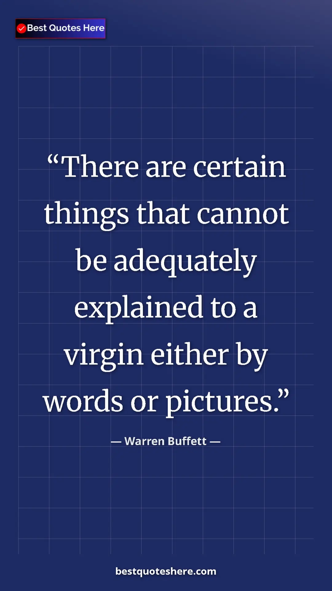 Pinterest quote poster by Warren Buffett: "There are certain things that cannot be adequately..."