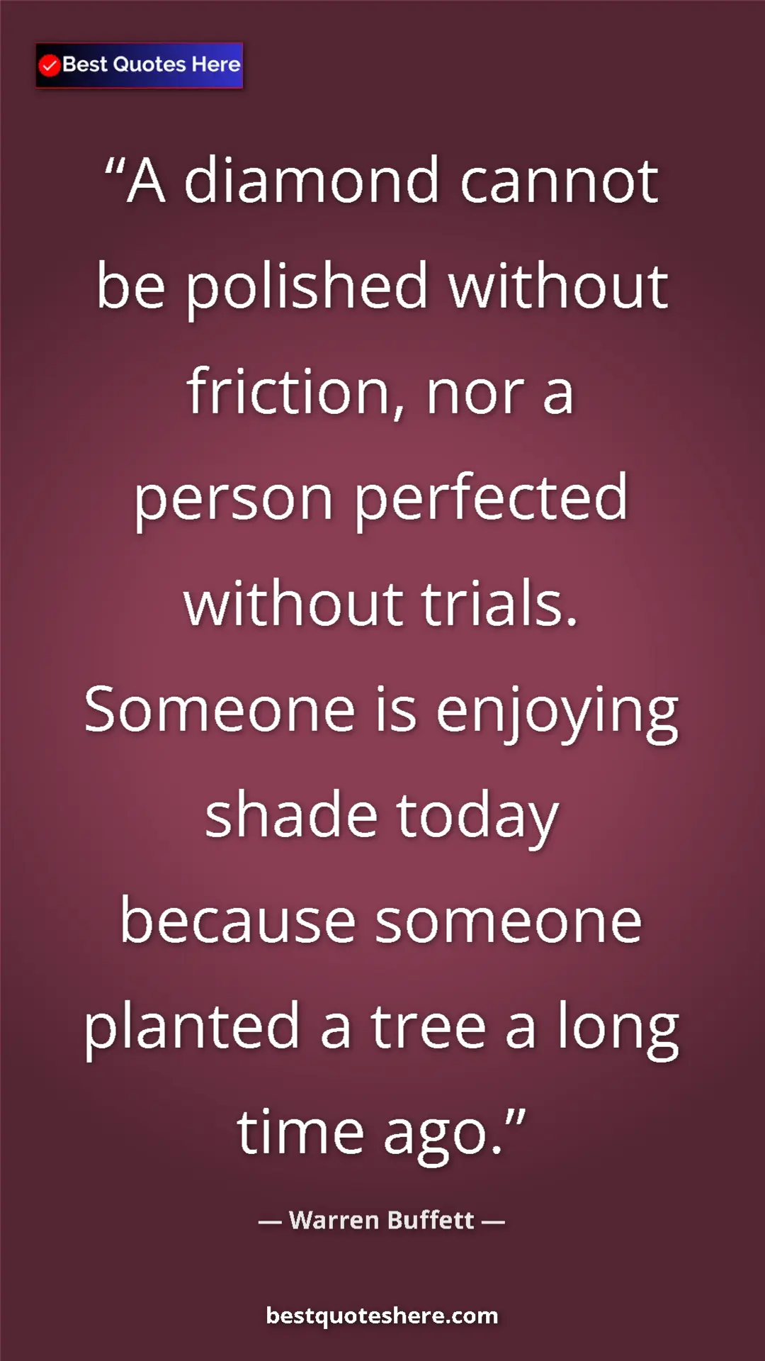 Pinterest quote poster by Warren Buffett: "A diamond cannot be polished without friction, nor a person..."