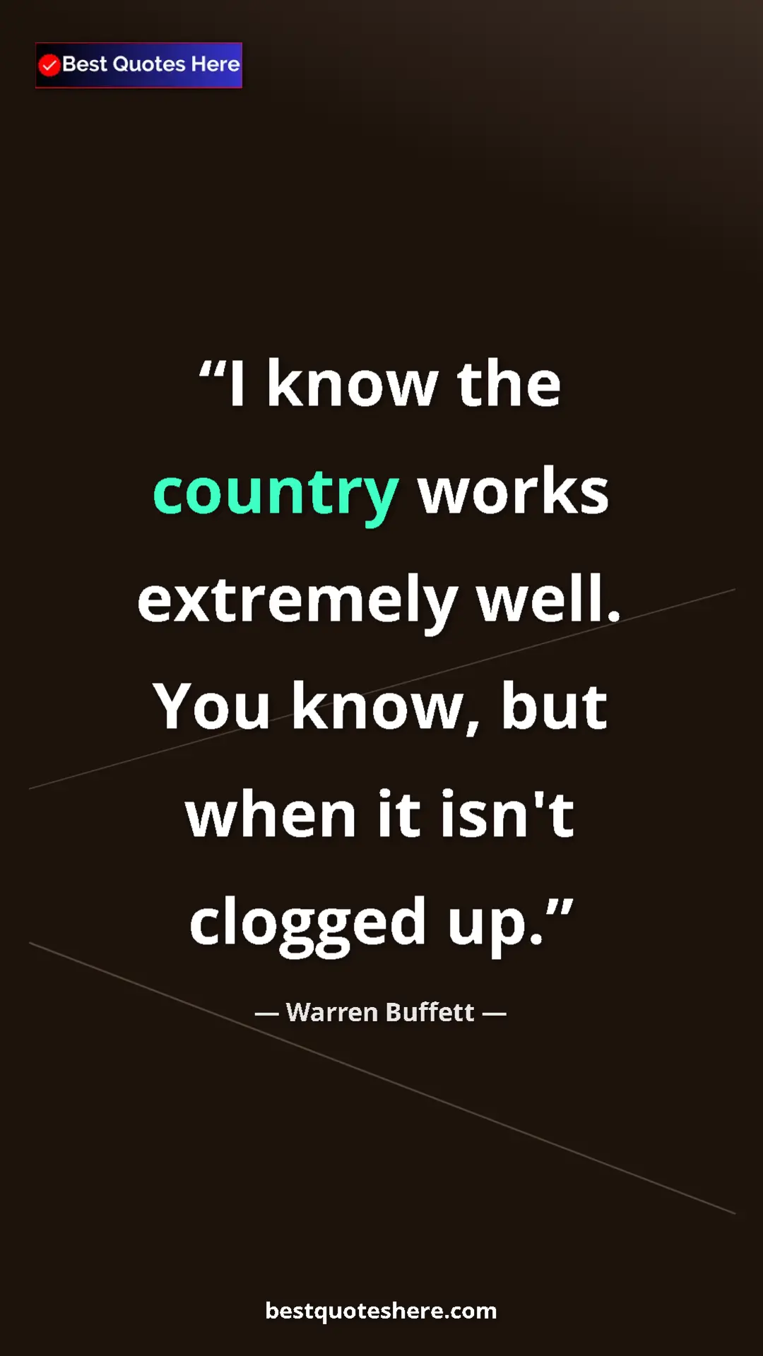 Pinterest quote poster by Warren Buffett: "I know the country works extremely well. You know, but when..."
