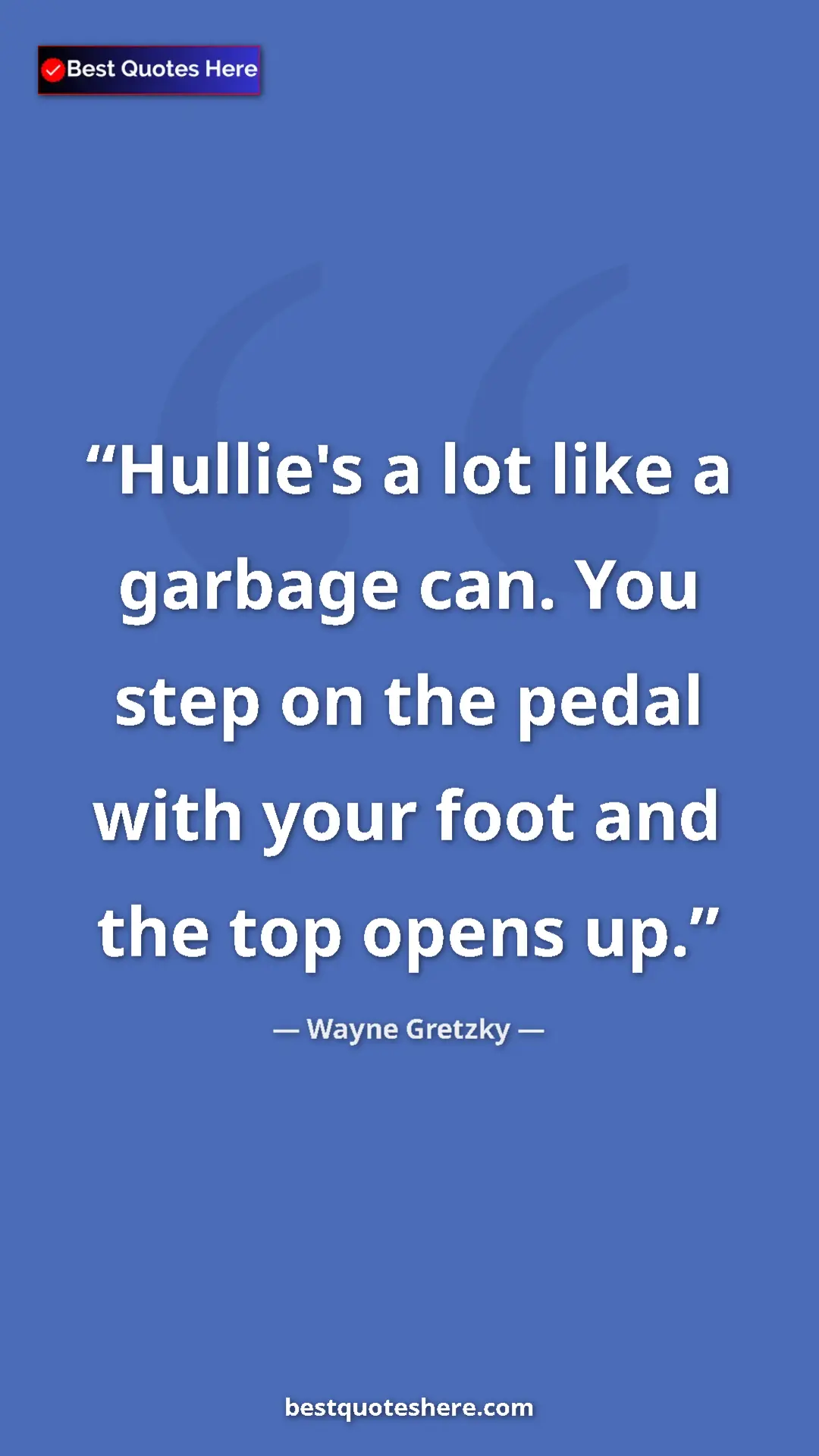 Pinterest quote poster by Wayne Gretzky: "Hullie's a lot like a garbage can. You step on the pedal..."