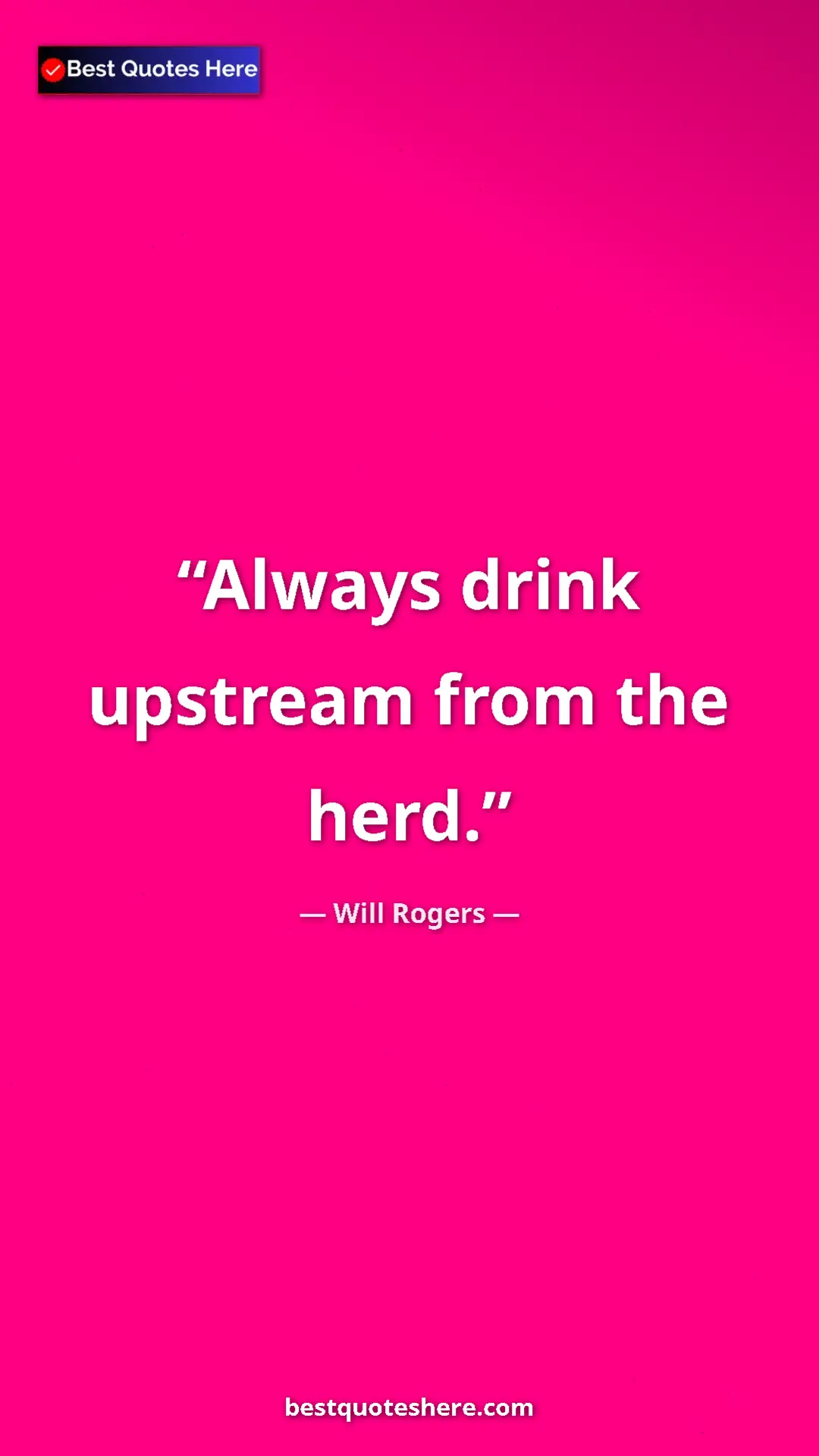 Will Rogers Quote Card: "Always drink upstream from the herd." Pinterest quote poster by Will Rogers: "Always drink upstream from the herd."