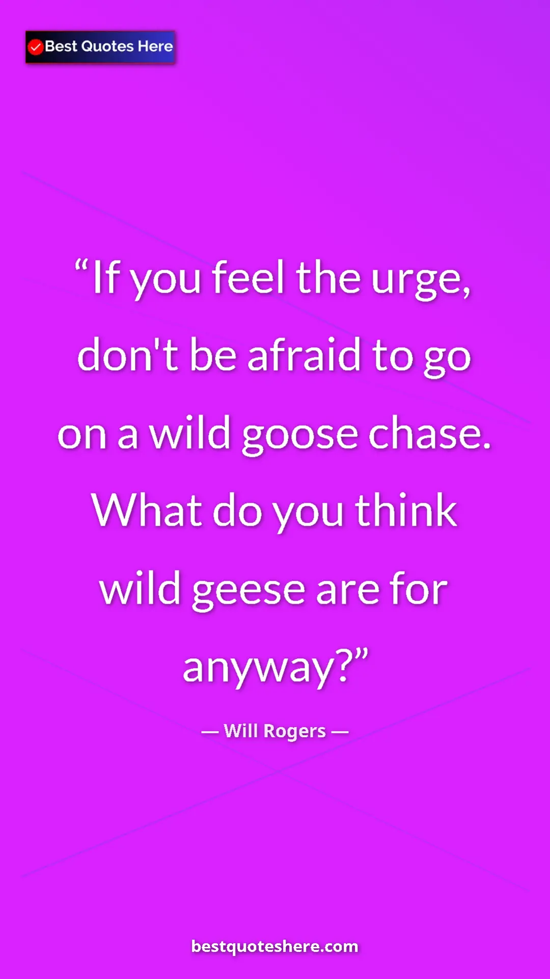 Pinterest quote poster by Will Rogers: "If you feel the urge, don't be afraid to go on a wild goose..."
