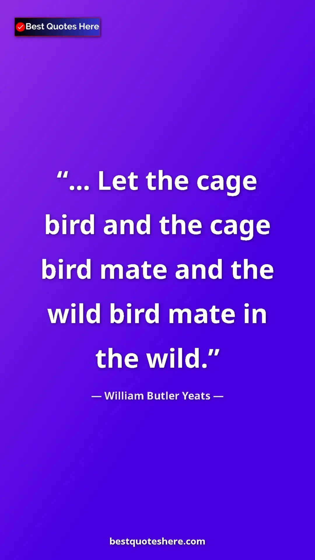Pinterest quote poster by William Butler Yeats: "... Let the cage bird and the cage bird mate and the wild bi"