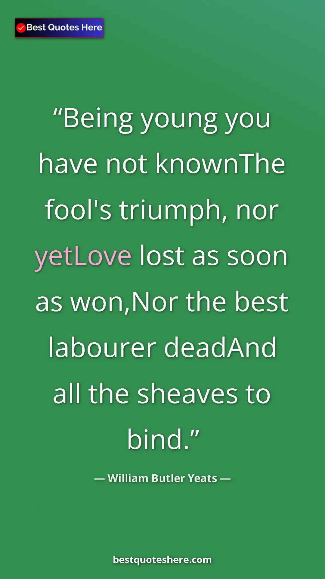 William Butler Yeats Quote Card: "Being young you have not knownThe fool's triumph, nor..." Pinterest quote poster by William Butler Yeats: "Being young you have not knownThe fool's triumph, nor..."