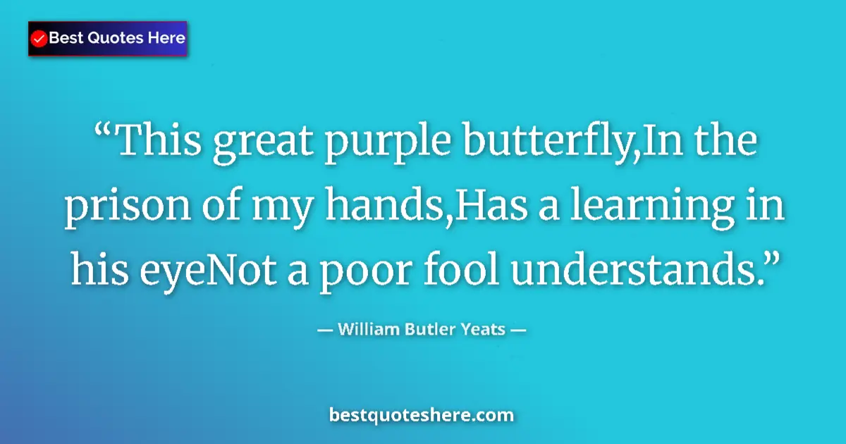 Quote by William Butler Yeats: This great purple butterfly,In the prison of my hands,Has a learning in his eyeNot a poor fool under...