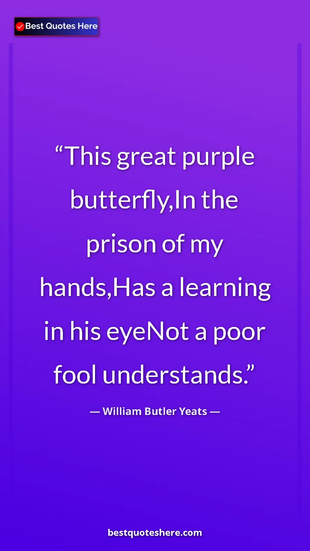 William Butler Yeats Quote Card: "This great purple butterfly,In the prison of my hands,Has a..." Pinterest quote poster by William Butler Yeats: "This great purple butterfly,In the prison of my hands,Has a..."