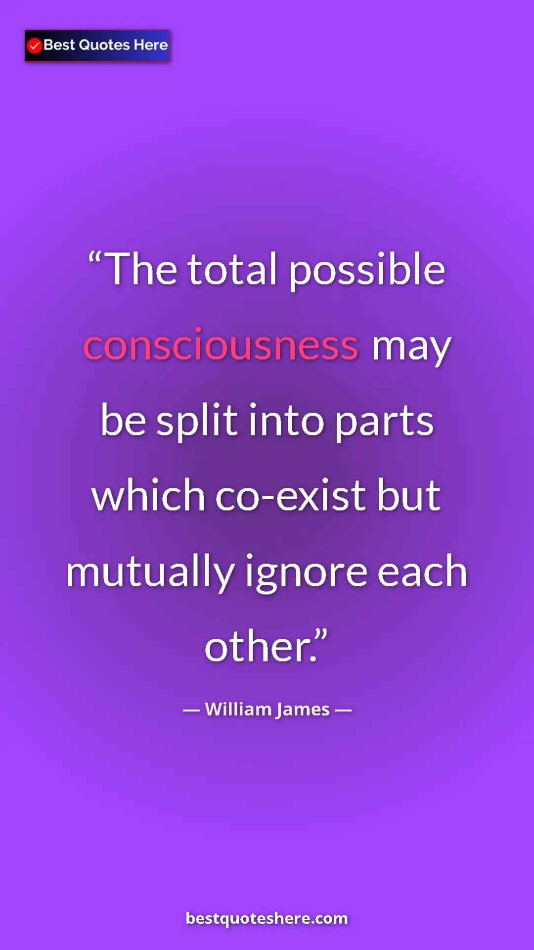 Pinterest quote poster by William James: "The total possible consciousness may be split into parts..."