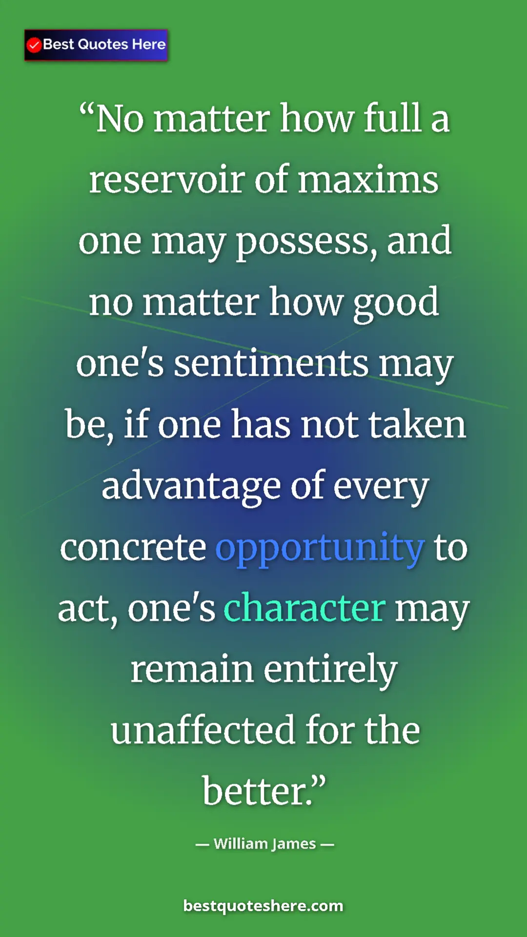 Pinterest quote poster by William James: "No matter how full a reservoir of maxims one may possess,..."
