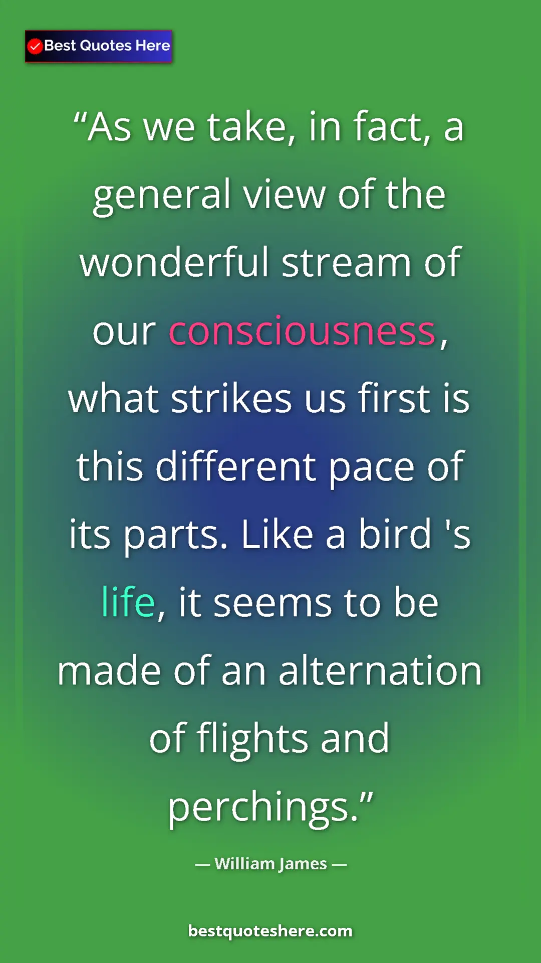 Pinterest quote poster by William James: "As we take, in fact, a general view of the wonderful stream..."