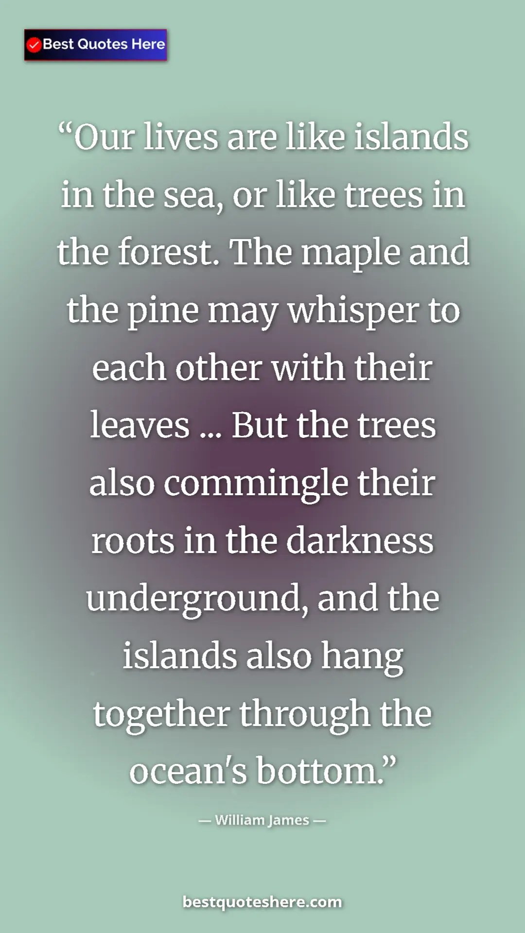 William James Quote Card: "Our lives are like islands in the sea, or like trees in the..." Pinterest quote poster by William James: "Our lives are like islands in the sea, or like trees in the..."