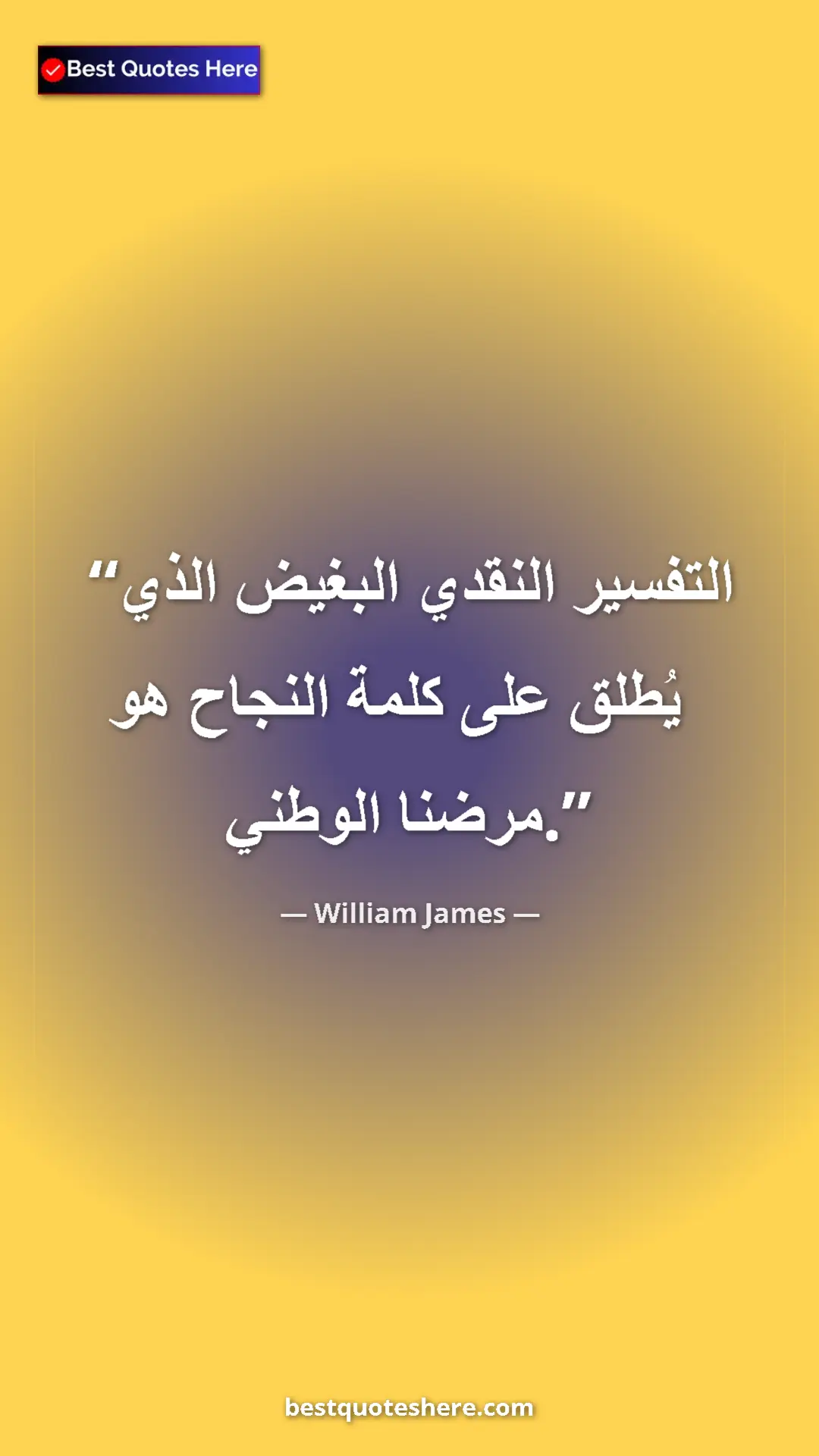 Pinterest quote poster by William James: "The squalid cash interpretation put on the word success ..."