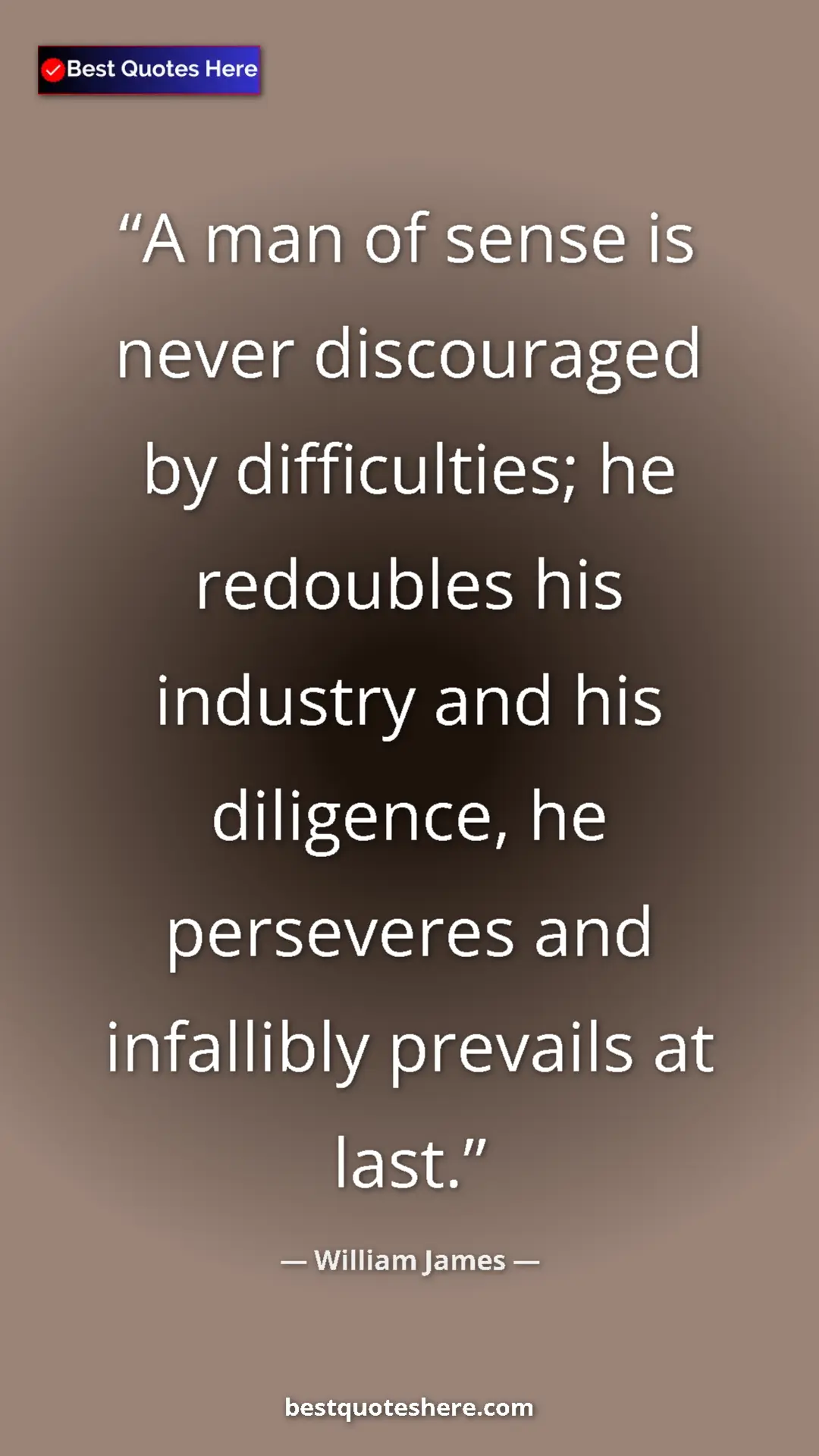 Pinterest quote poster by William James: "A man of sense is never discouraged by difficulties; he..."