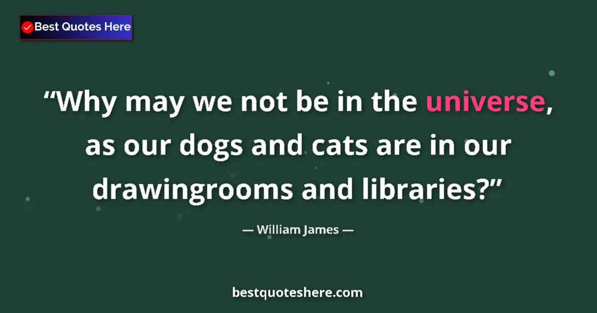 Quote by William James: Why may we not be in the universe, as our dogs and