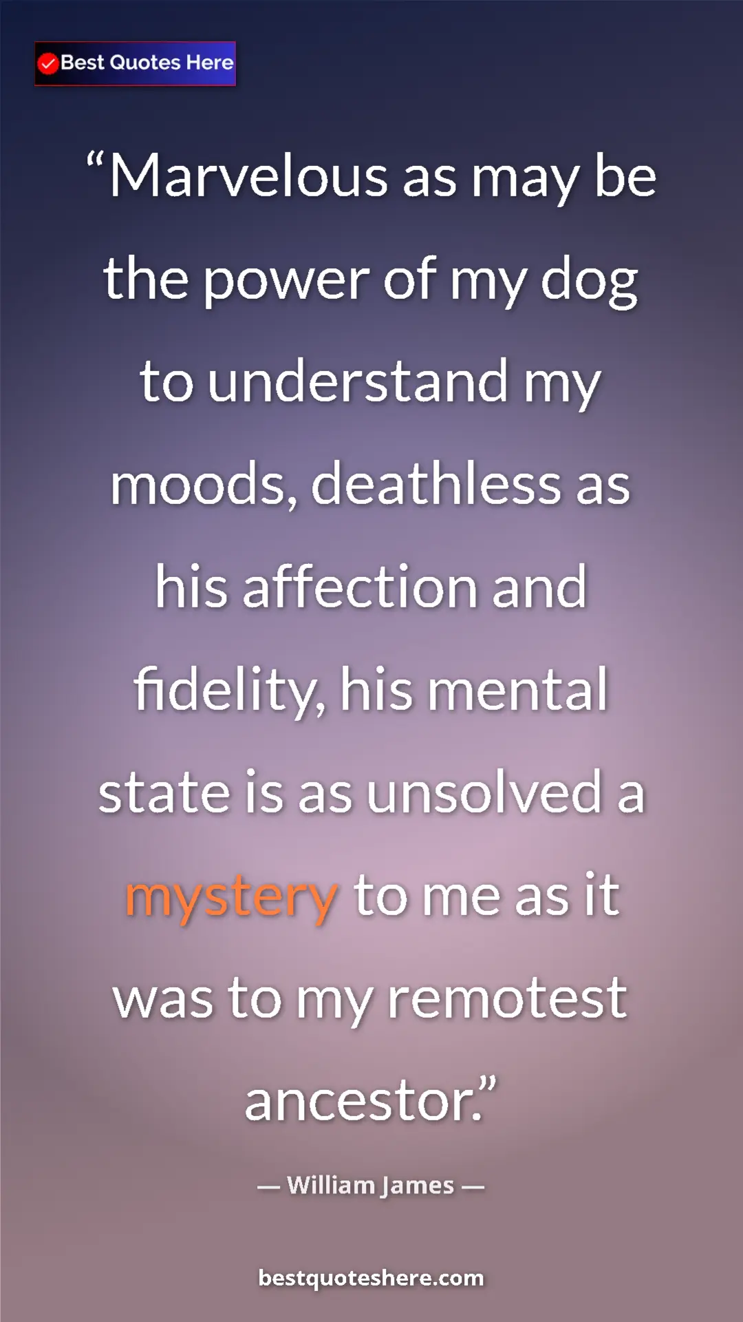 William James Quote Card: "Marvelous as may be the power of my dog to understand my..." Pinterest quote poster by William James: "Marvelous as may be the power of my dog to understand my..."