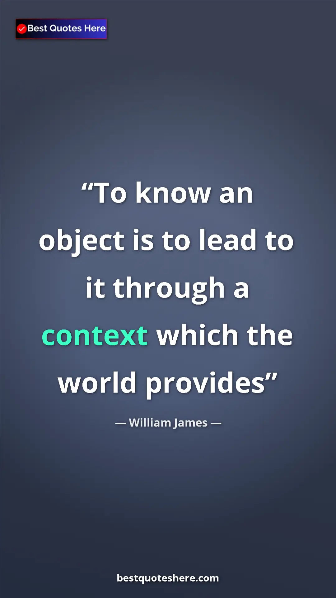 Pinterest quote poster by William James: "To know an object is to lead to it through a context which..."
