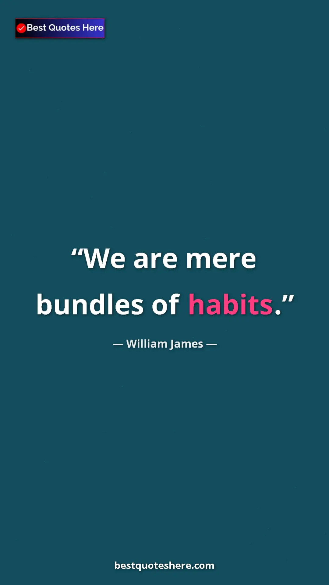 Pinterest quote poster by William James: "We are mere bundles of habits."