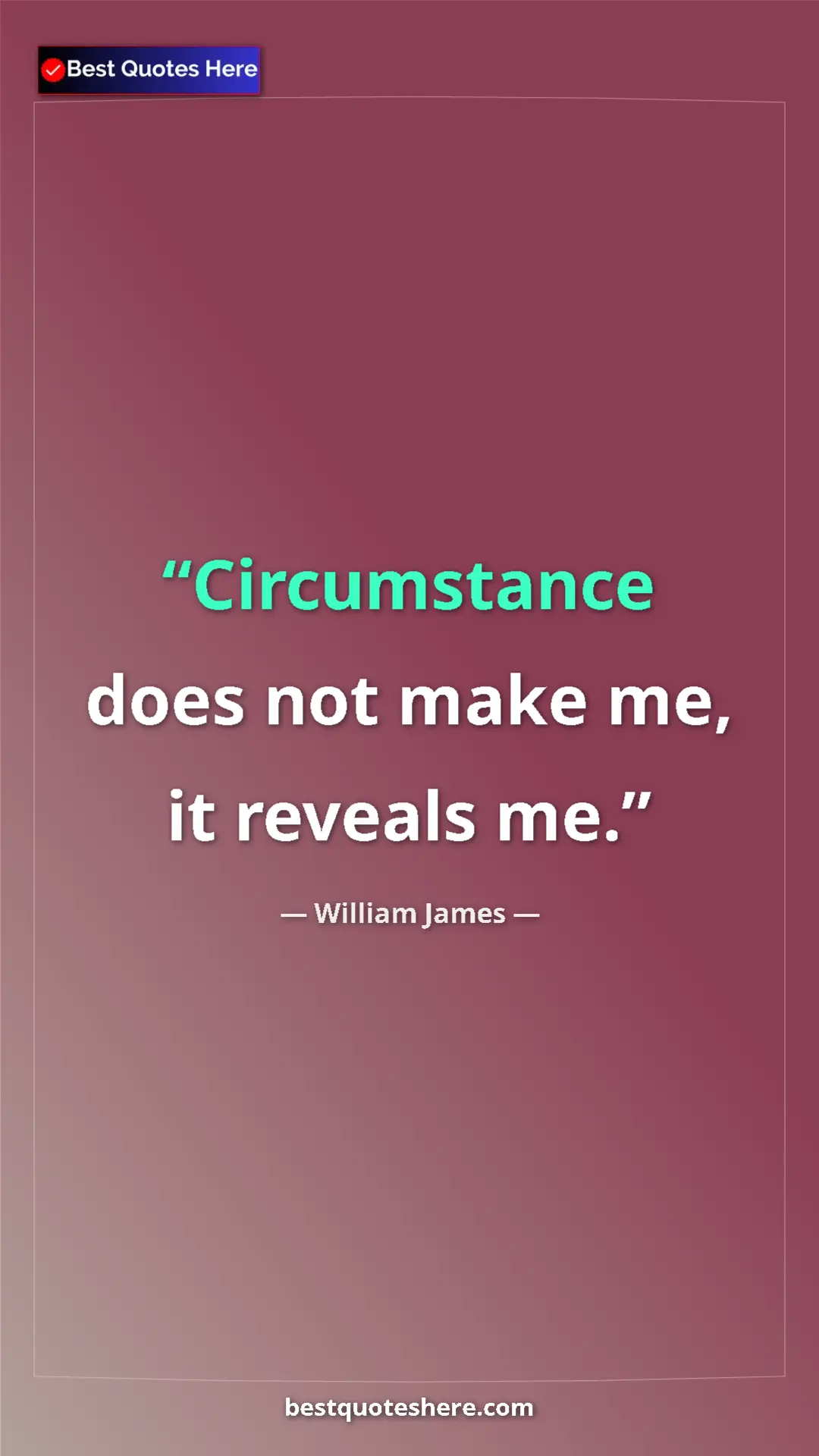 Pinterest quote poster by William James: "Circumstance does not make me, it reveals me."