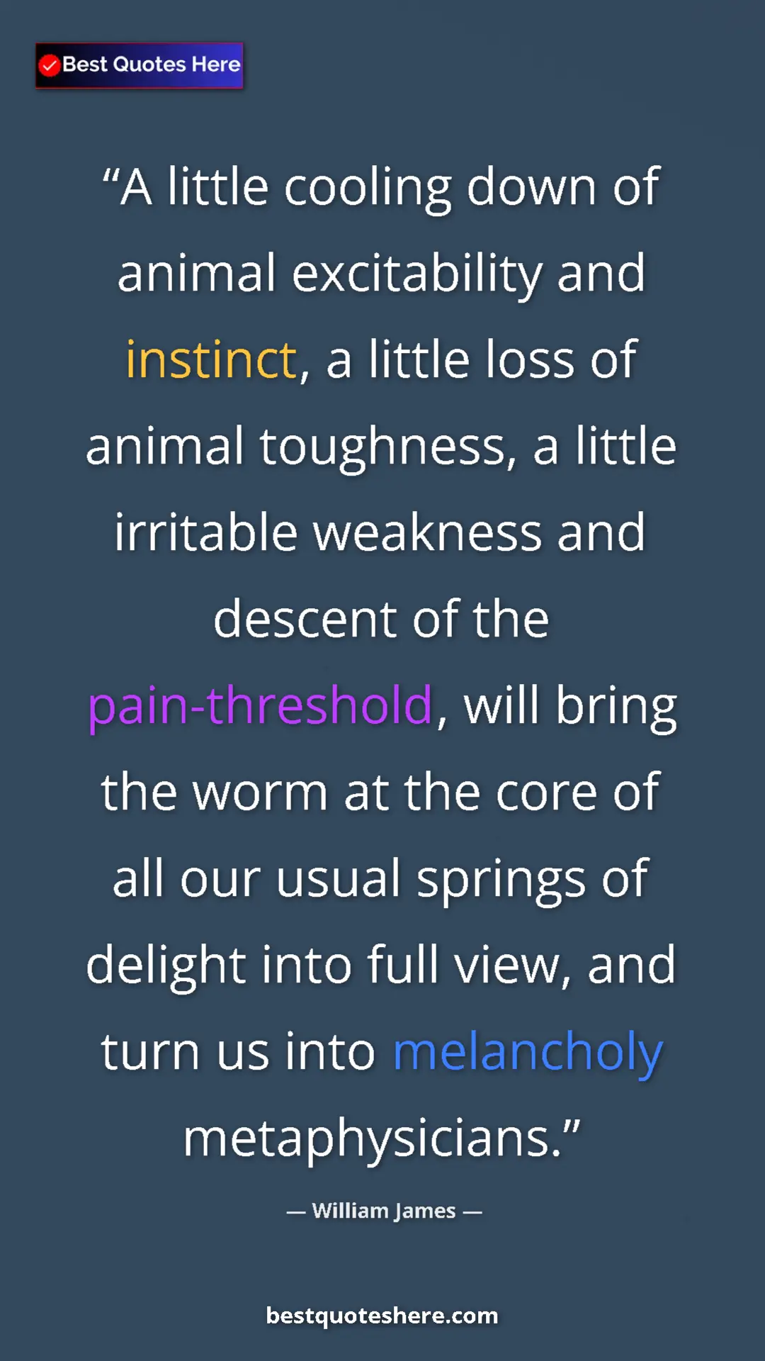 Pinterest quote poster by William James: "A little cooling down of animal excitability and instinct,..."