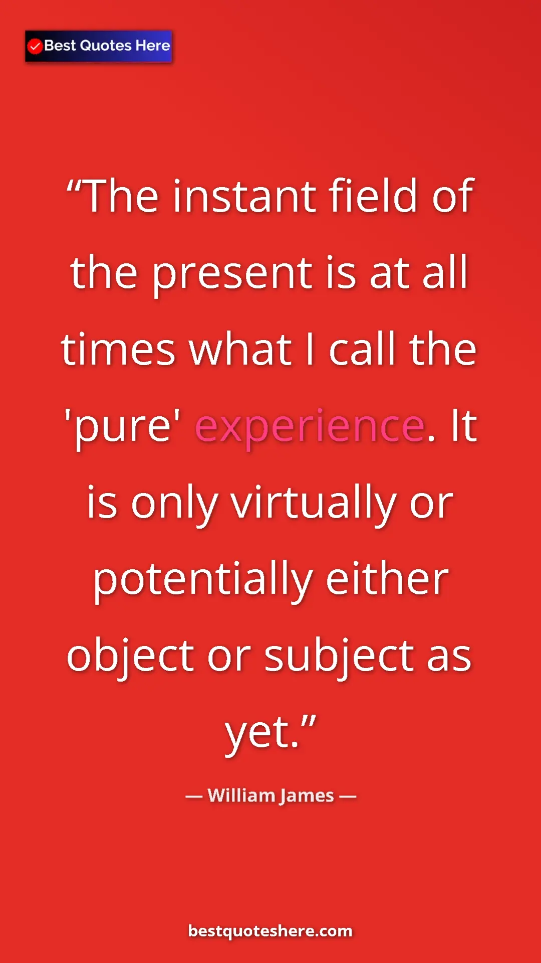 Pinterest quote poster by William James: "The instant field of the present is at all times what I..."
