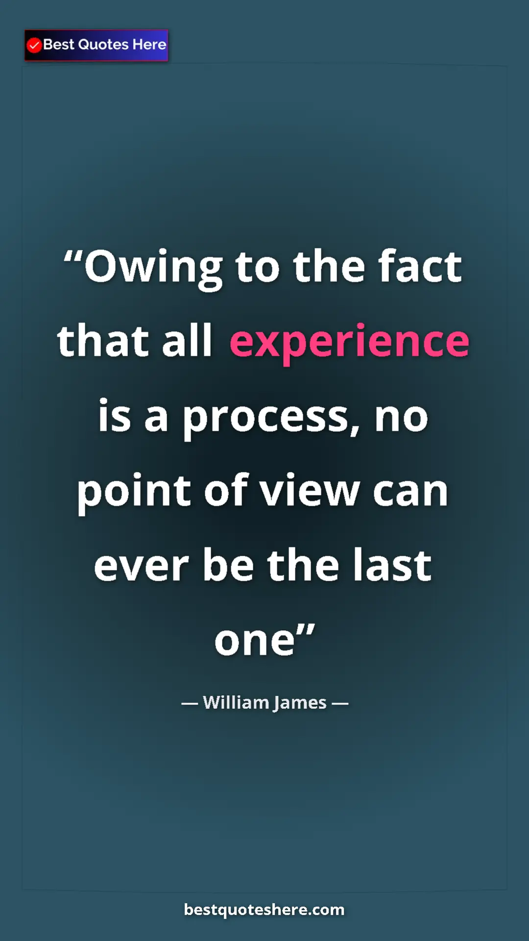 Pinterest quote poster by William James: "Owing to the fact that all experience is a process, no..."