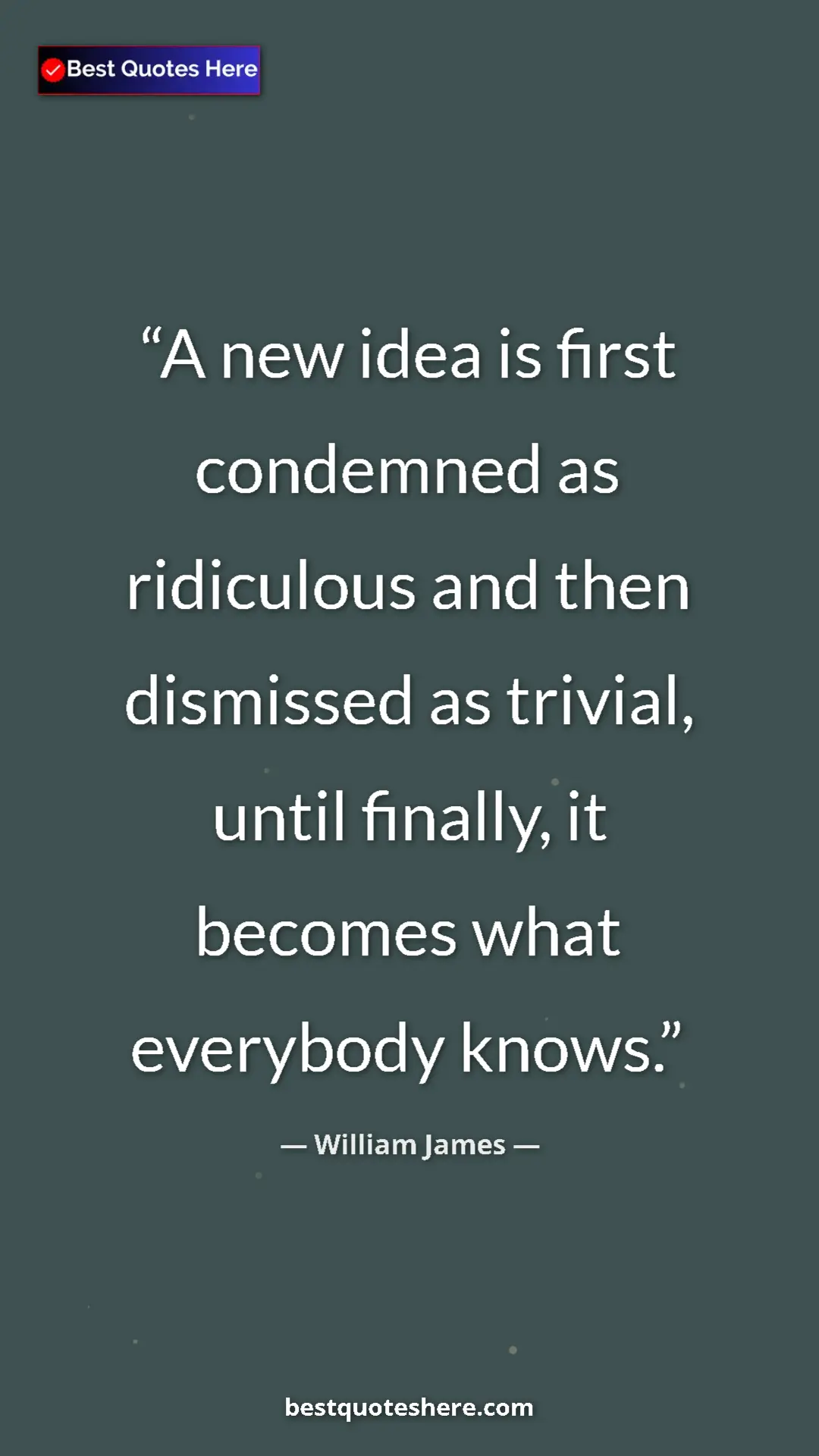 Pinterest quote poster by William James: "A new idea is first condemned as ridiculous and then..."