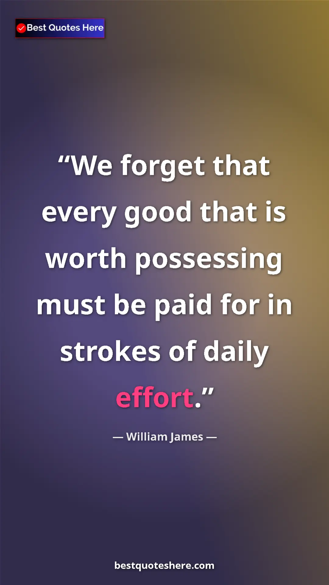 Pinterest quote poster by William James: "We forget that every good that is worth possessing must be..."