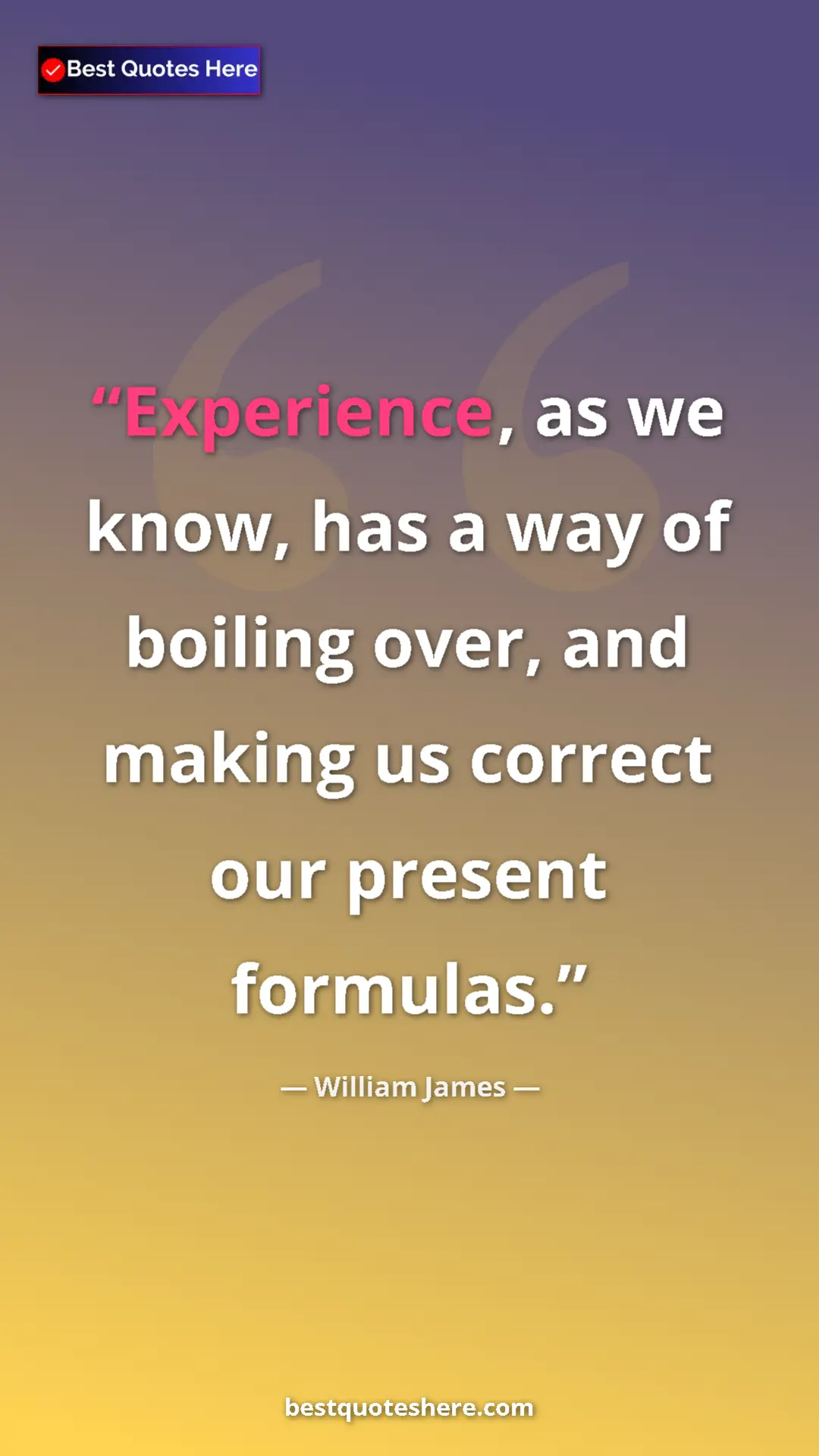 Pinterest quote poster by William James: "Experience, as we know, has a way of boiling over, and..."