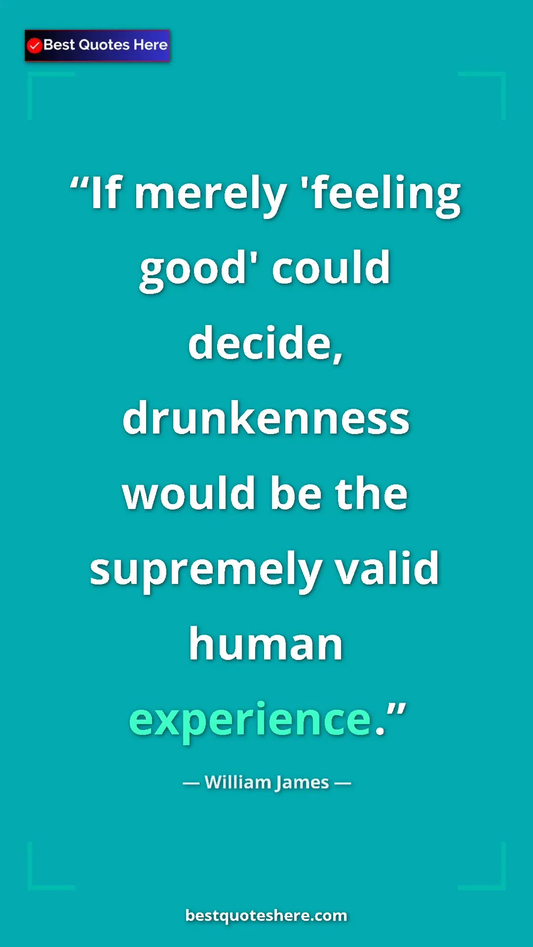 Pinterest quote poster by William James: "If merely 'feeling good' could decide, drunkenness would be..."
