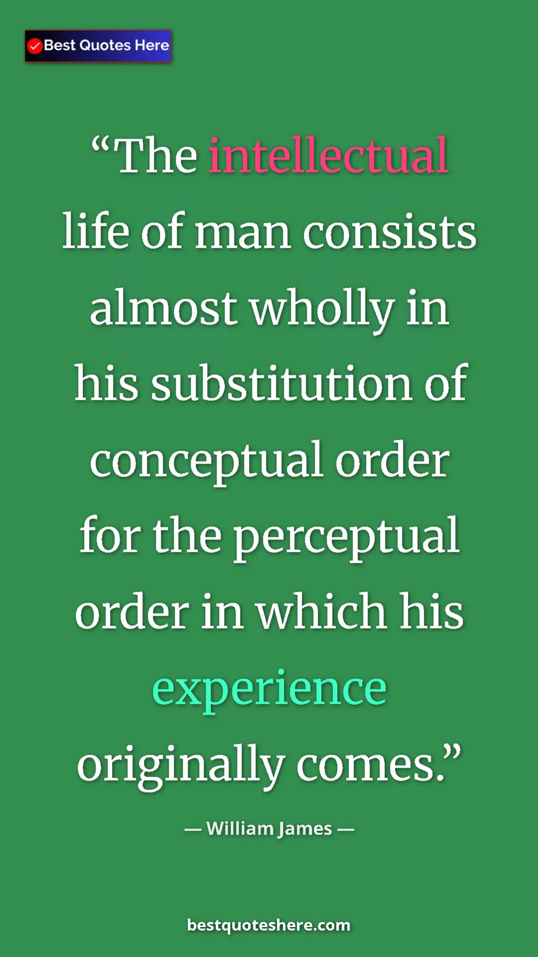 Pinterest quote poster by William James: "The intellectual life of man consists almost wholly in his..."