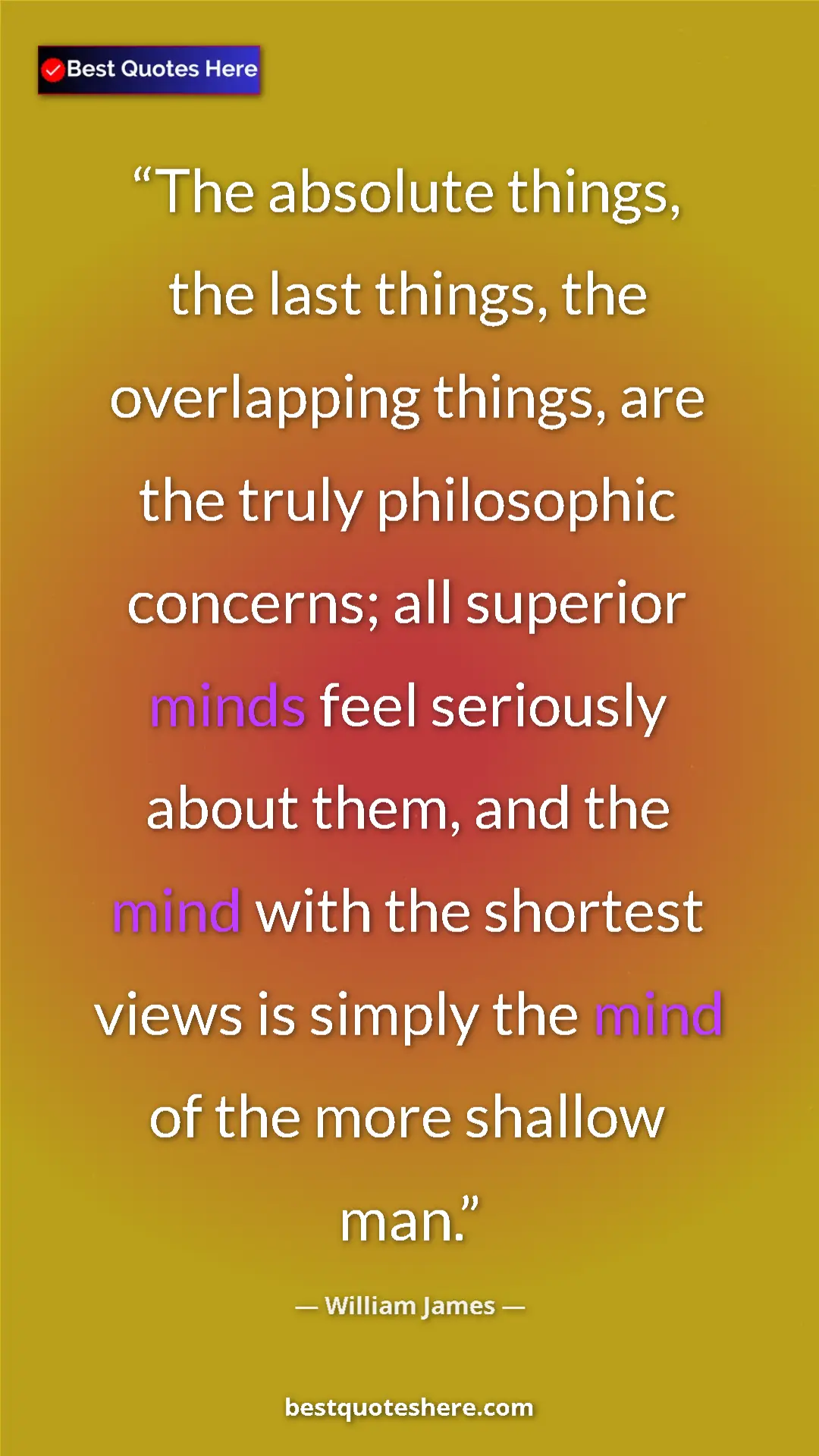 Pinterest quote poster by William James: "The absolute things, the last things, the overlapping..."