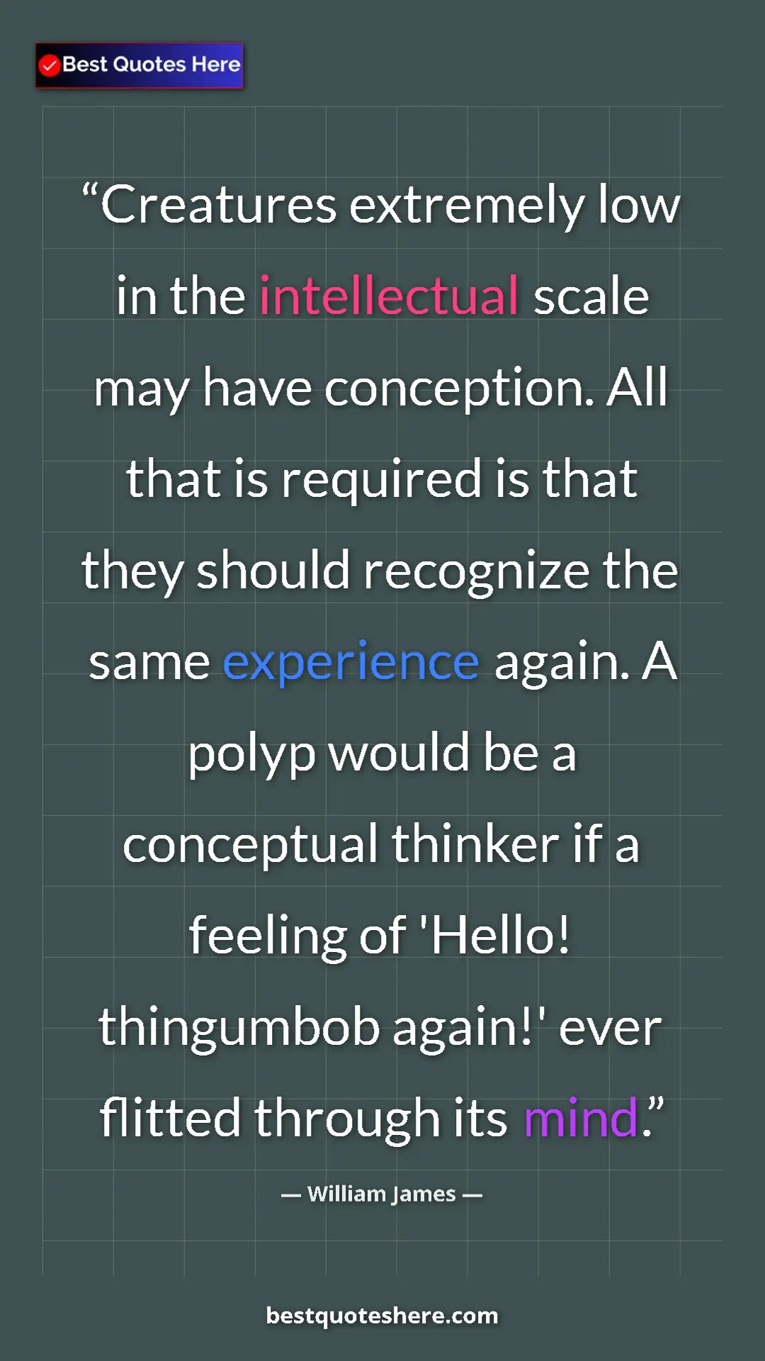 William James Quote Card: "Creatures extremely low in the intellectual scale may have..." Pinterest quote poster by William James: "Creatures extremely low in the intellectual scale may have..."