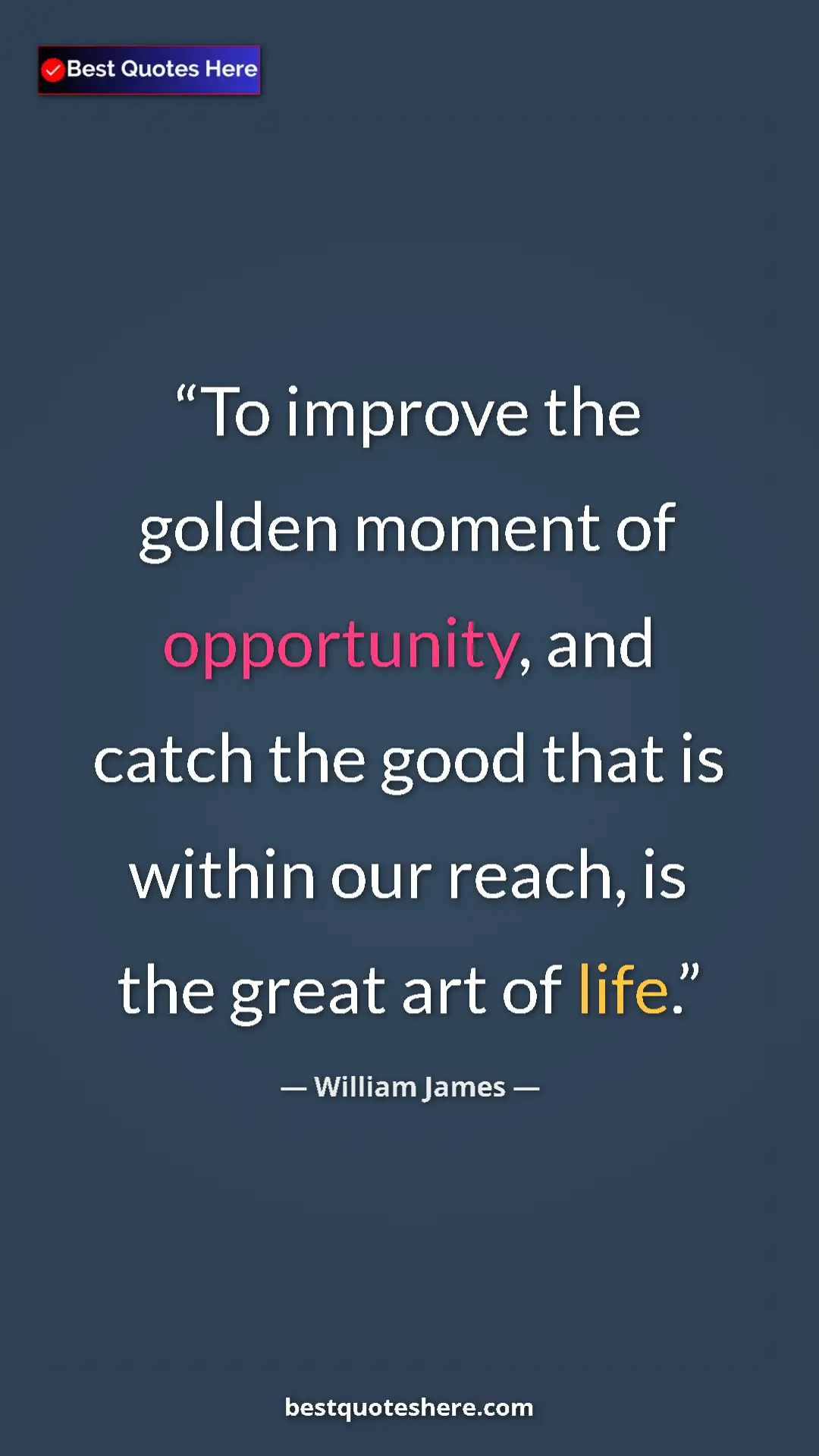 Pinterest quote poster by William James: "To improve the golden moment of opportunity, and catch the..."