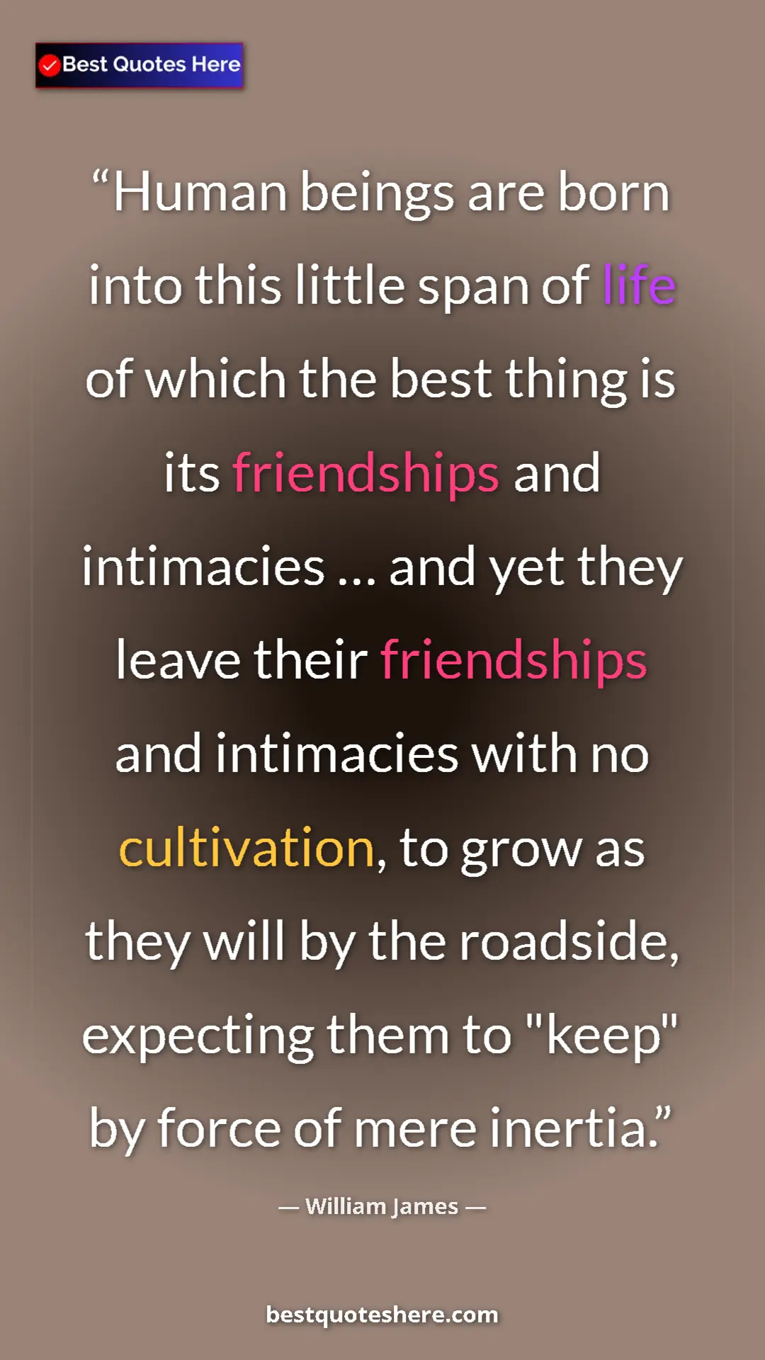 William James Quote Card: "Human beings are born into this little span of life of..." Pinterest quote poster by William James: "Human beings are born into this little span of life of..."