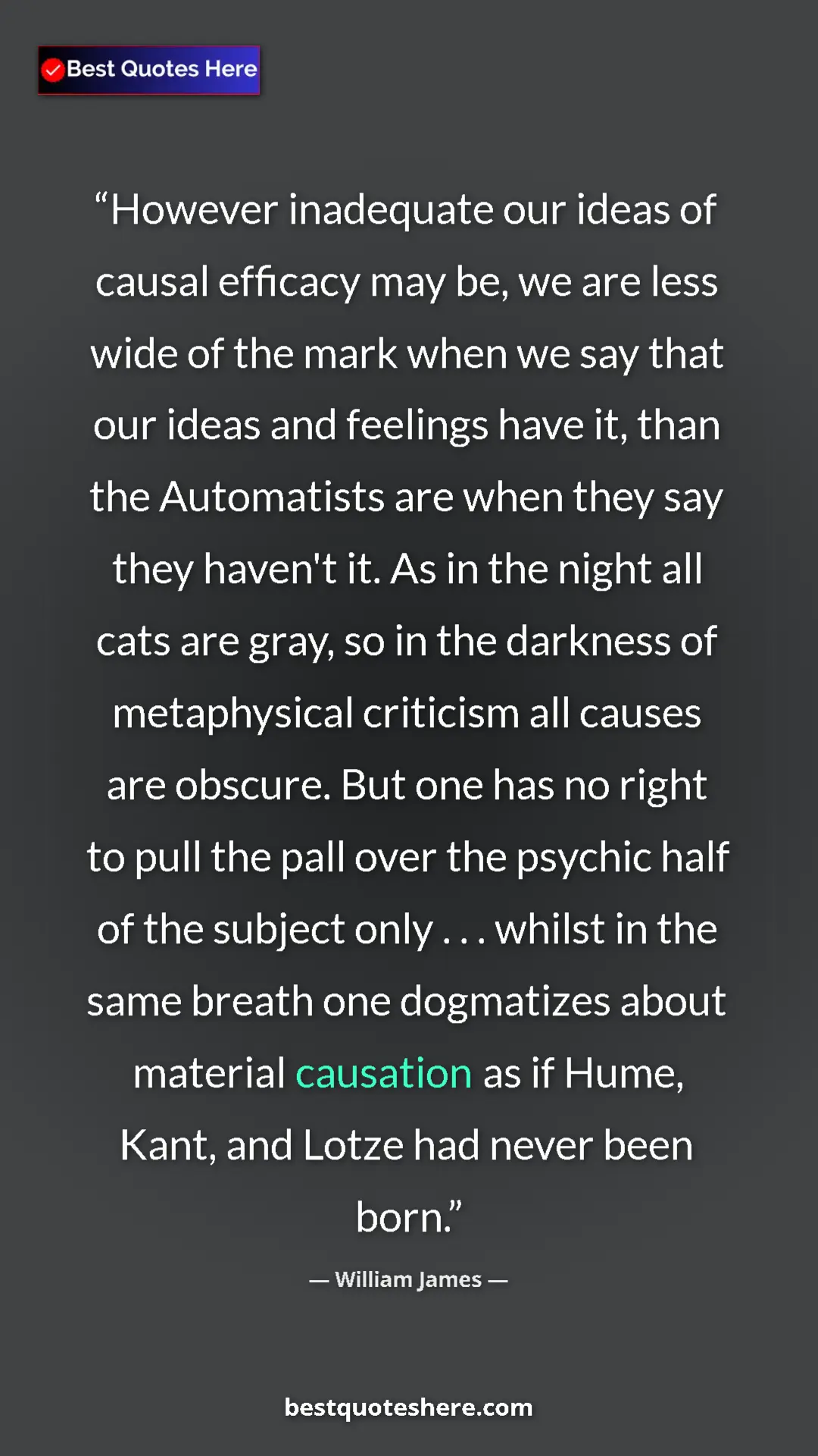 Pinterest quote poster by William James: "However inadequate our ideas of causal efficacy may be, we..."