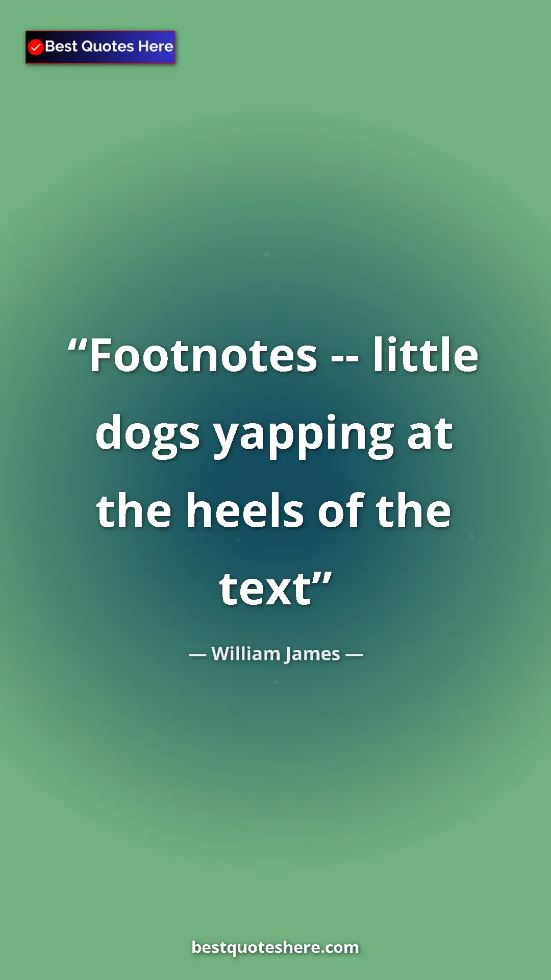 Pinterest quote poster by William James: "Footnotes -- little dogs yapping at the heels of the text"